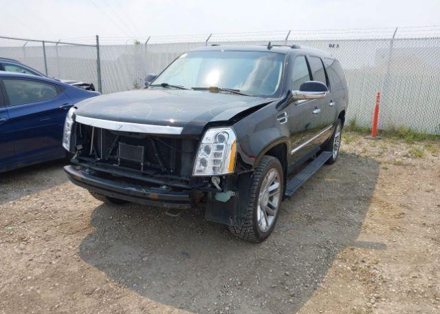 2011 CADILLAC ESCALADE ESV PLATINUM EDITION