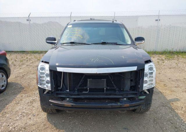 2011 CADILLAC ESCALADE ESV PLATINUM EDITION