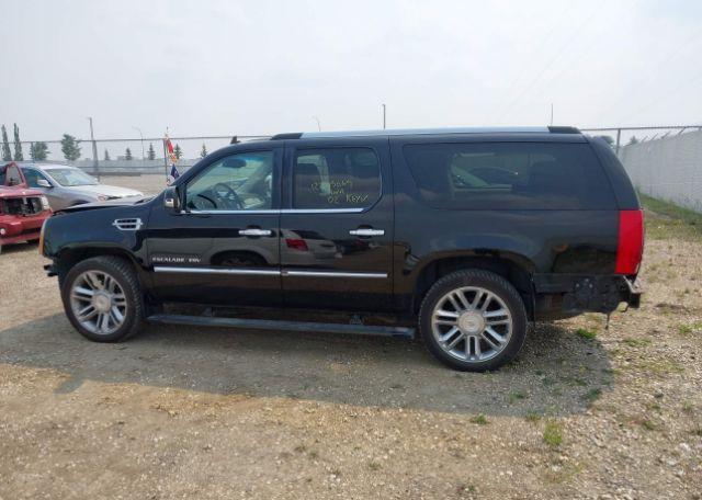 2011 CADILLAC ESCALADE ESV PLATINUM EDITION