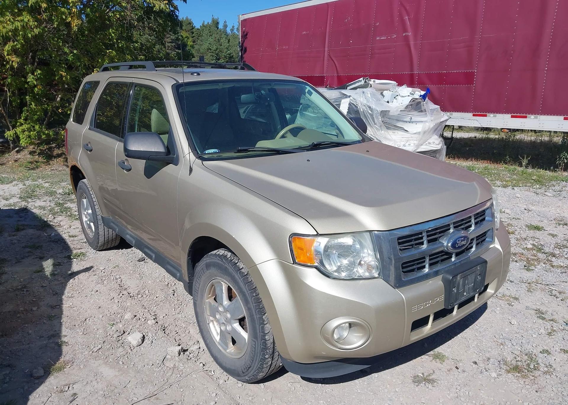 2012 FORD ESCAPE XLT