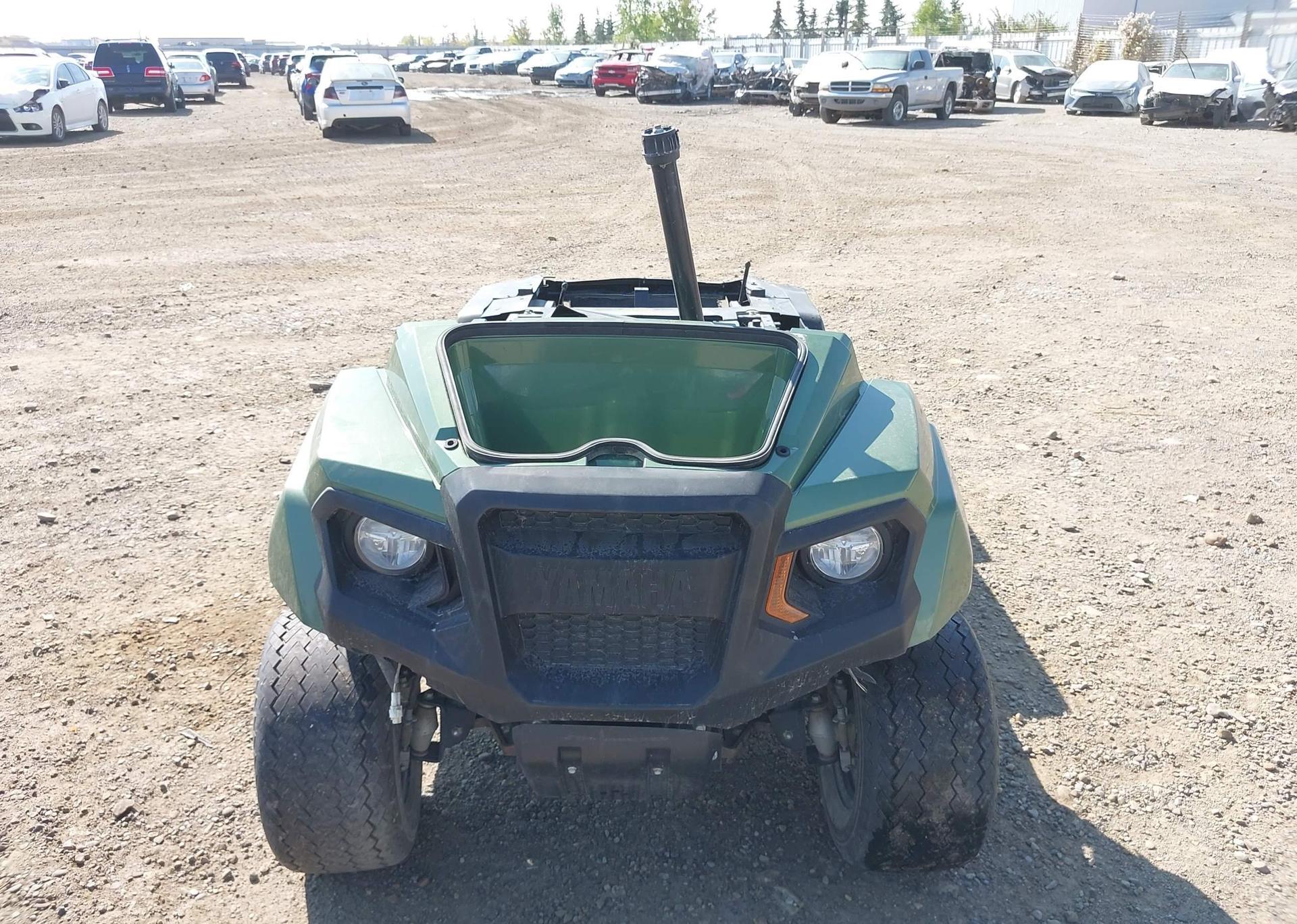 2019 YAMAHA Umax