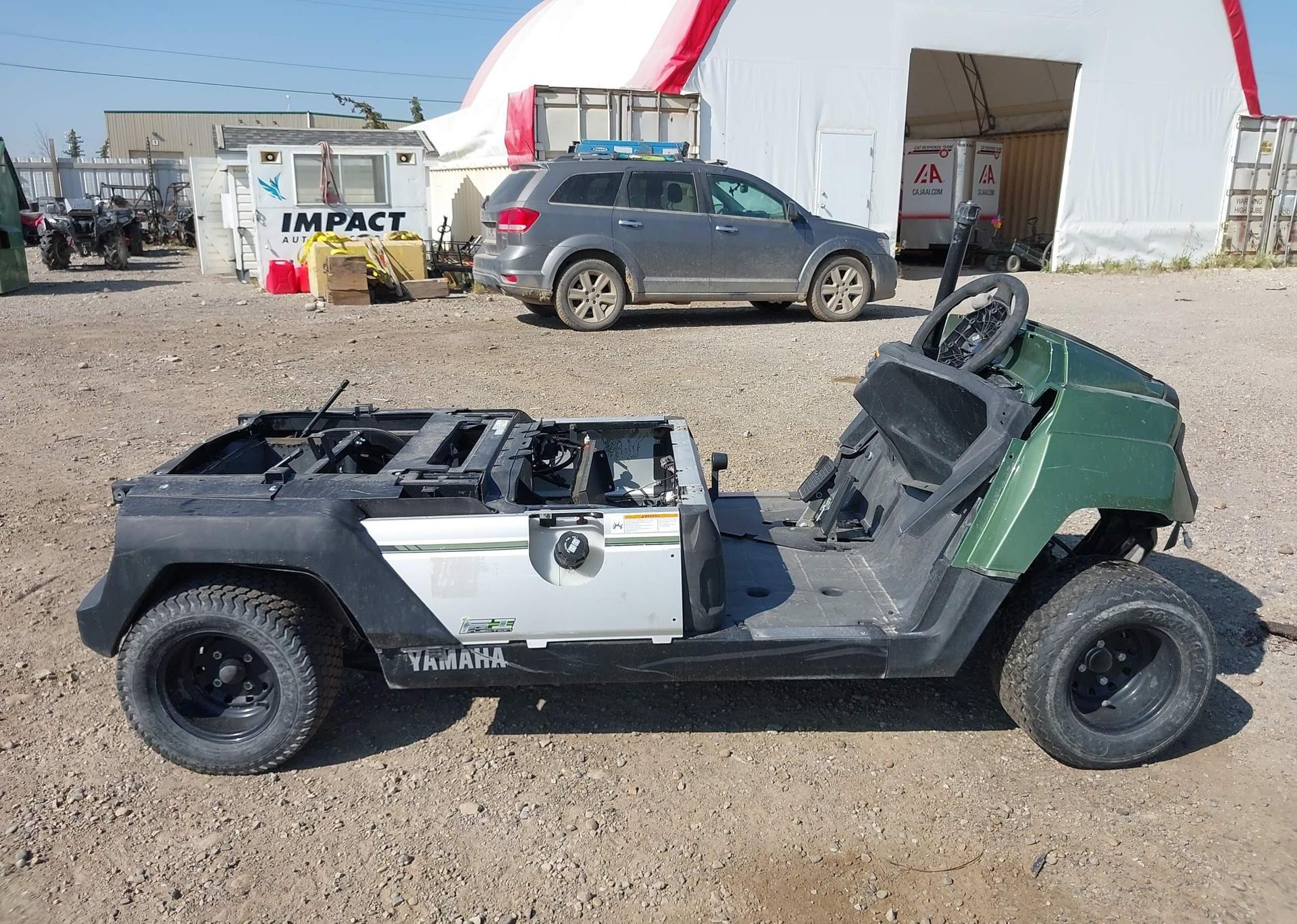 2019 YAMAHA Umax