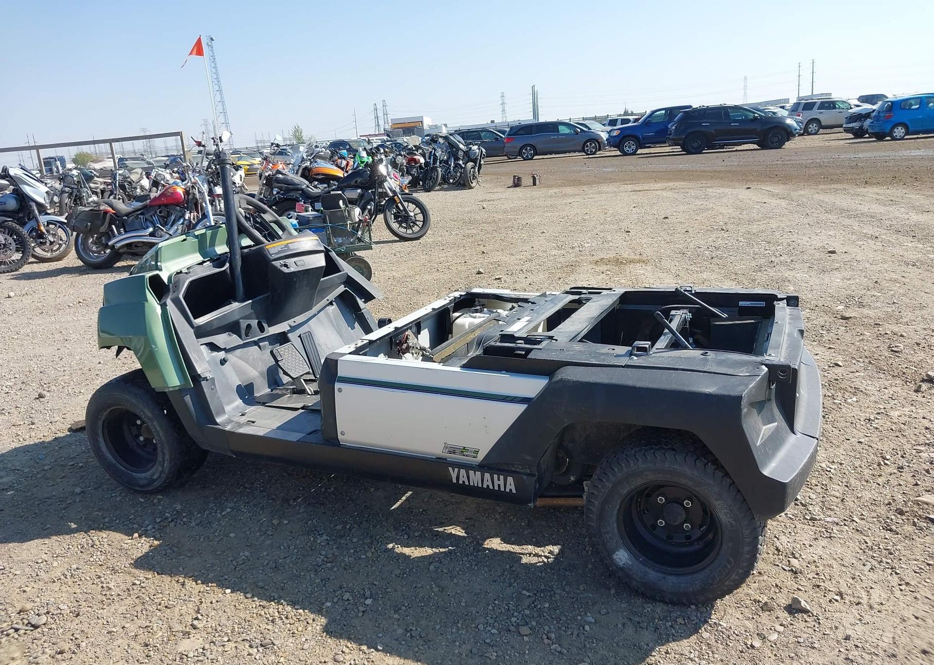 2019 YAMAHA Umax