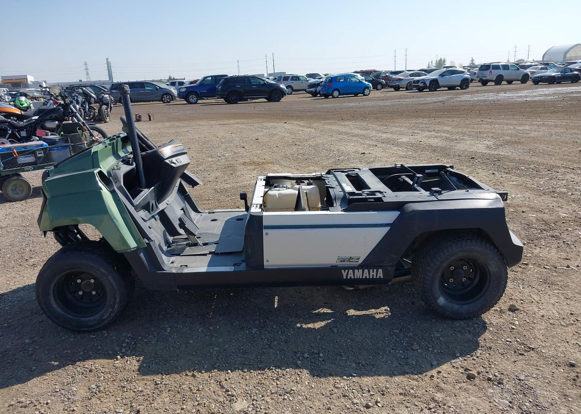 2019 YAMAHA Umax