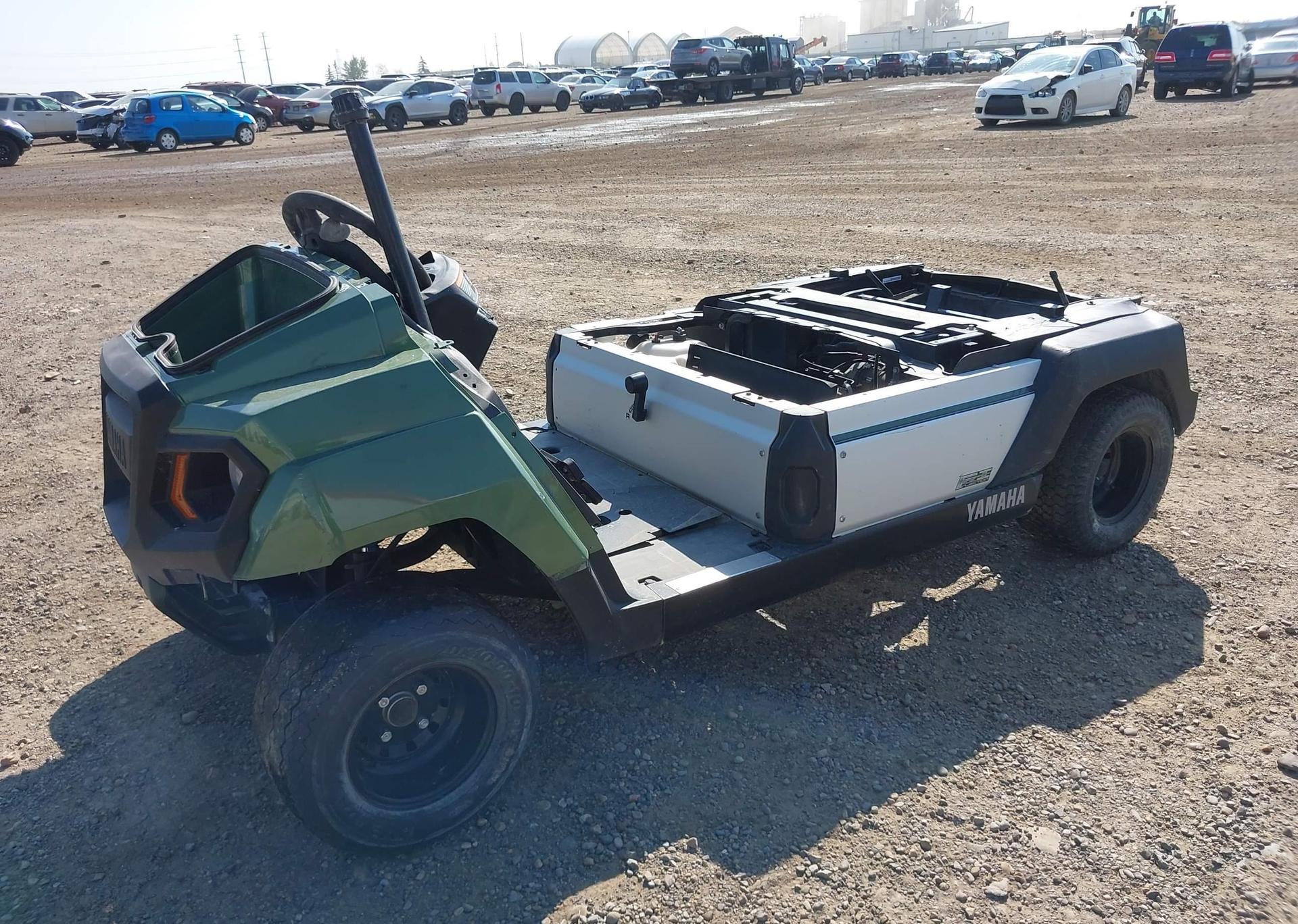 2019 YAMAHA Umax