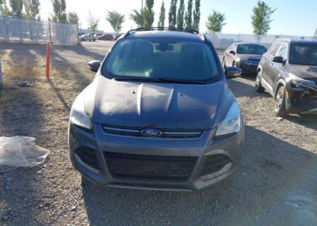 2013 FORD ESCAPE SEL