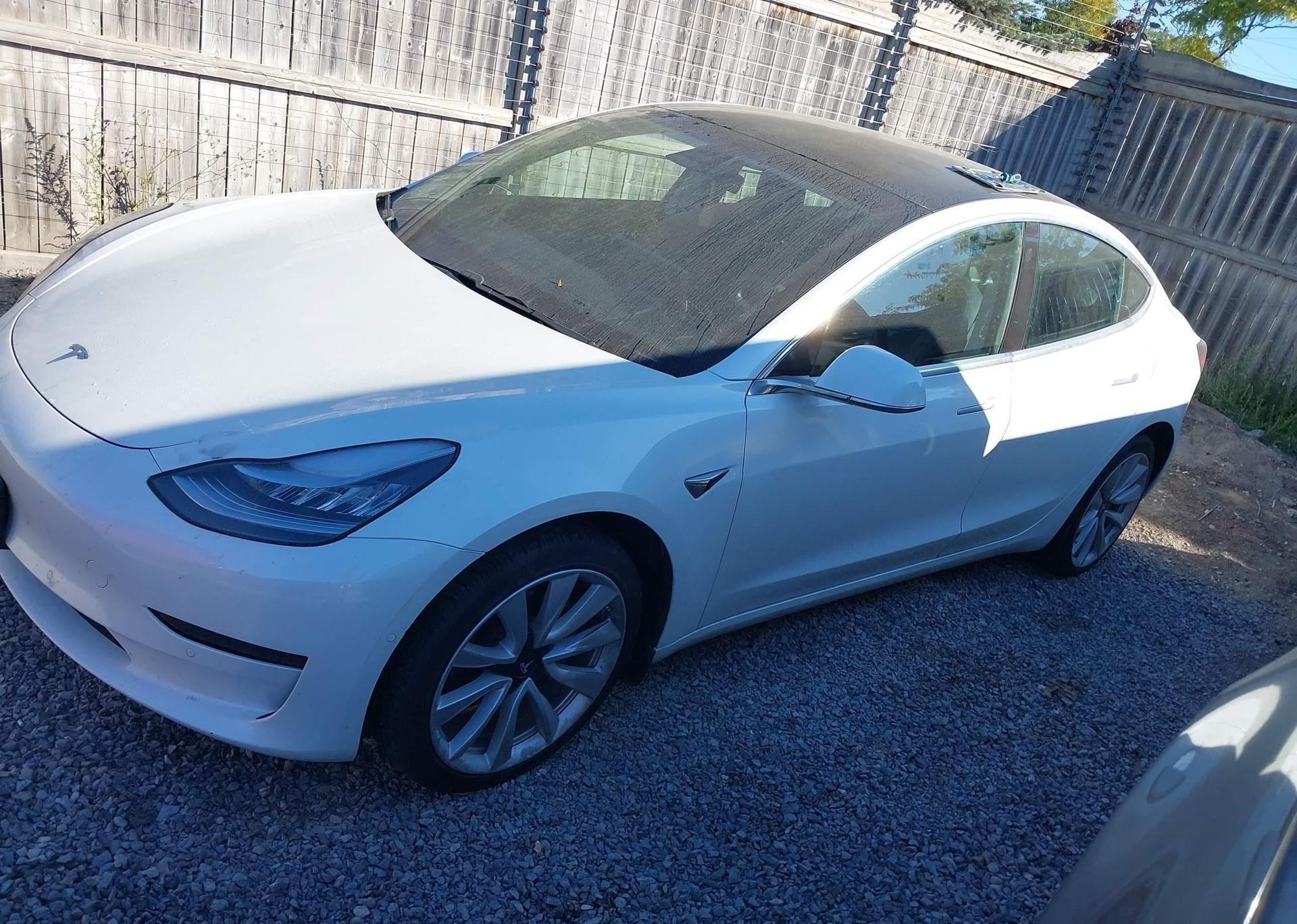 2019 TESLA MODEL 3