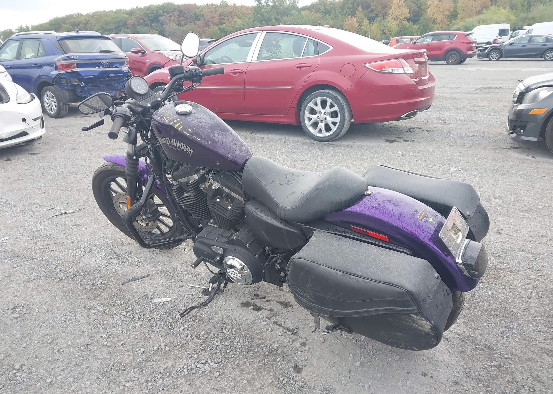 2014 HARLEY-DAVIDSON XL883 IRON 883