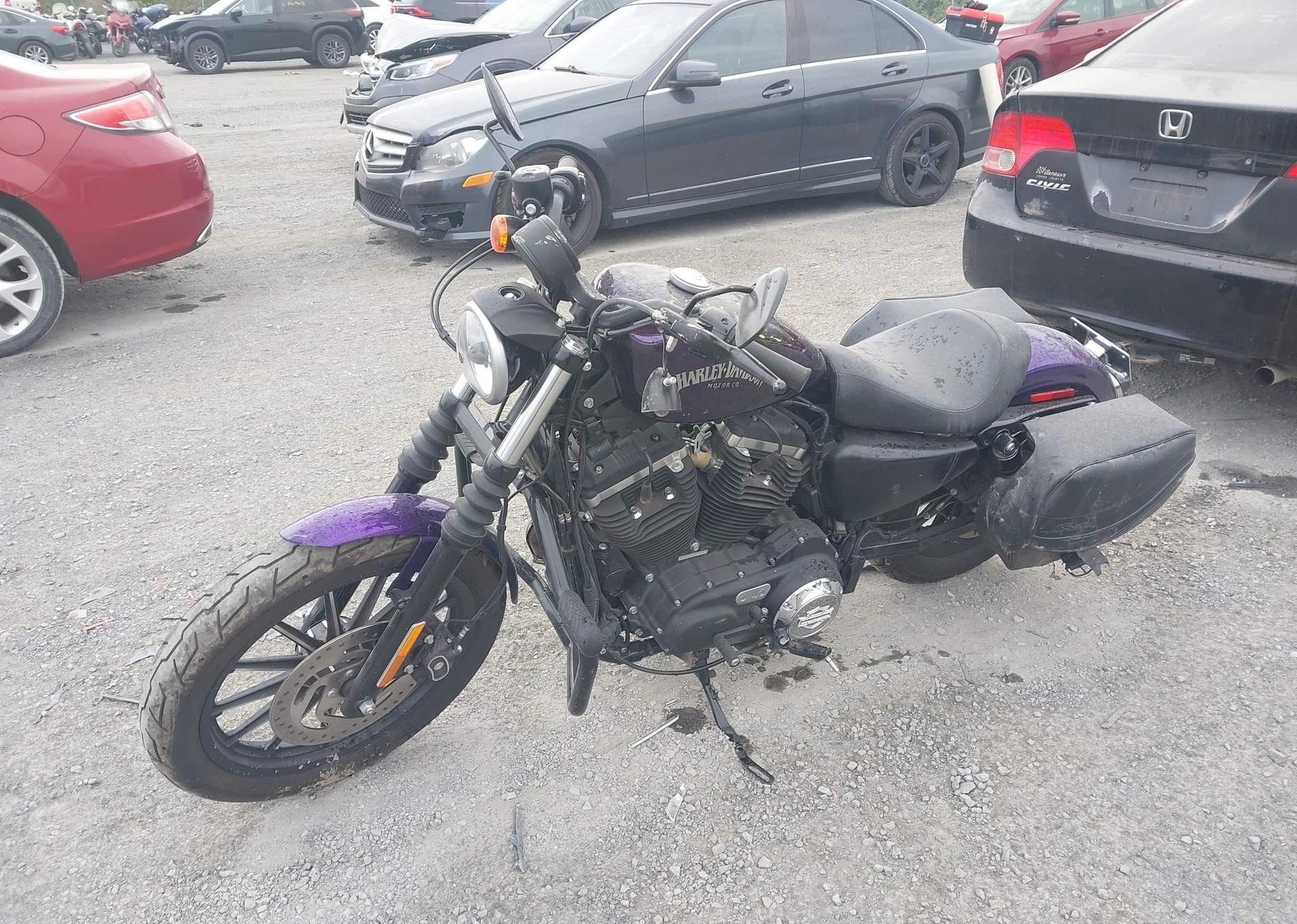 2014 HARLEY-DAVIDSON XL883 IRON 883