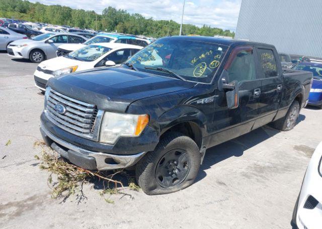 2011 FORD F-150 XLT