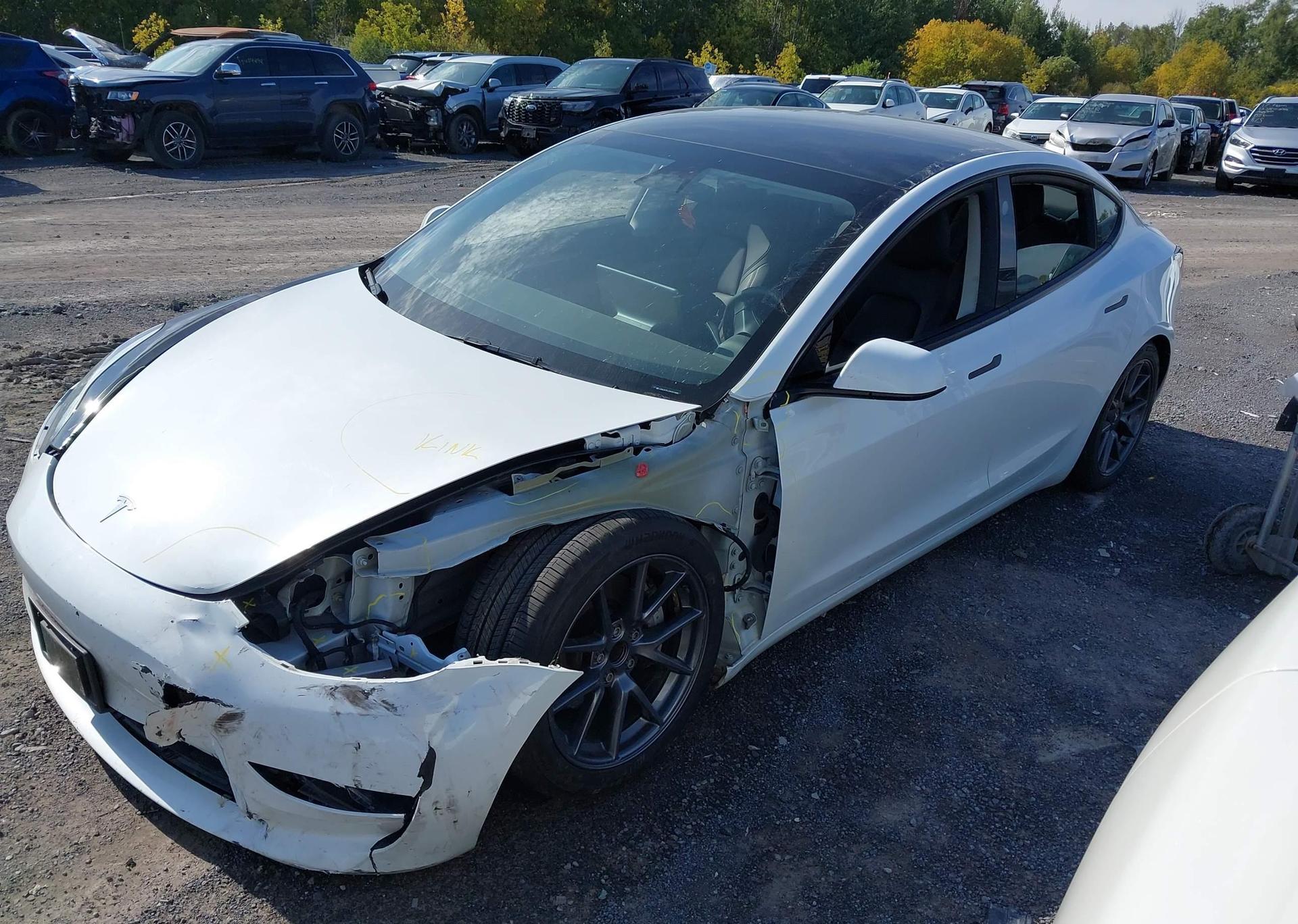 2023 TESLA MODEL 3 RWD