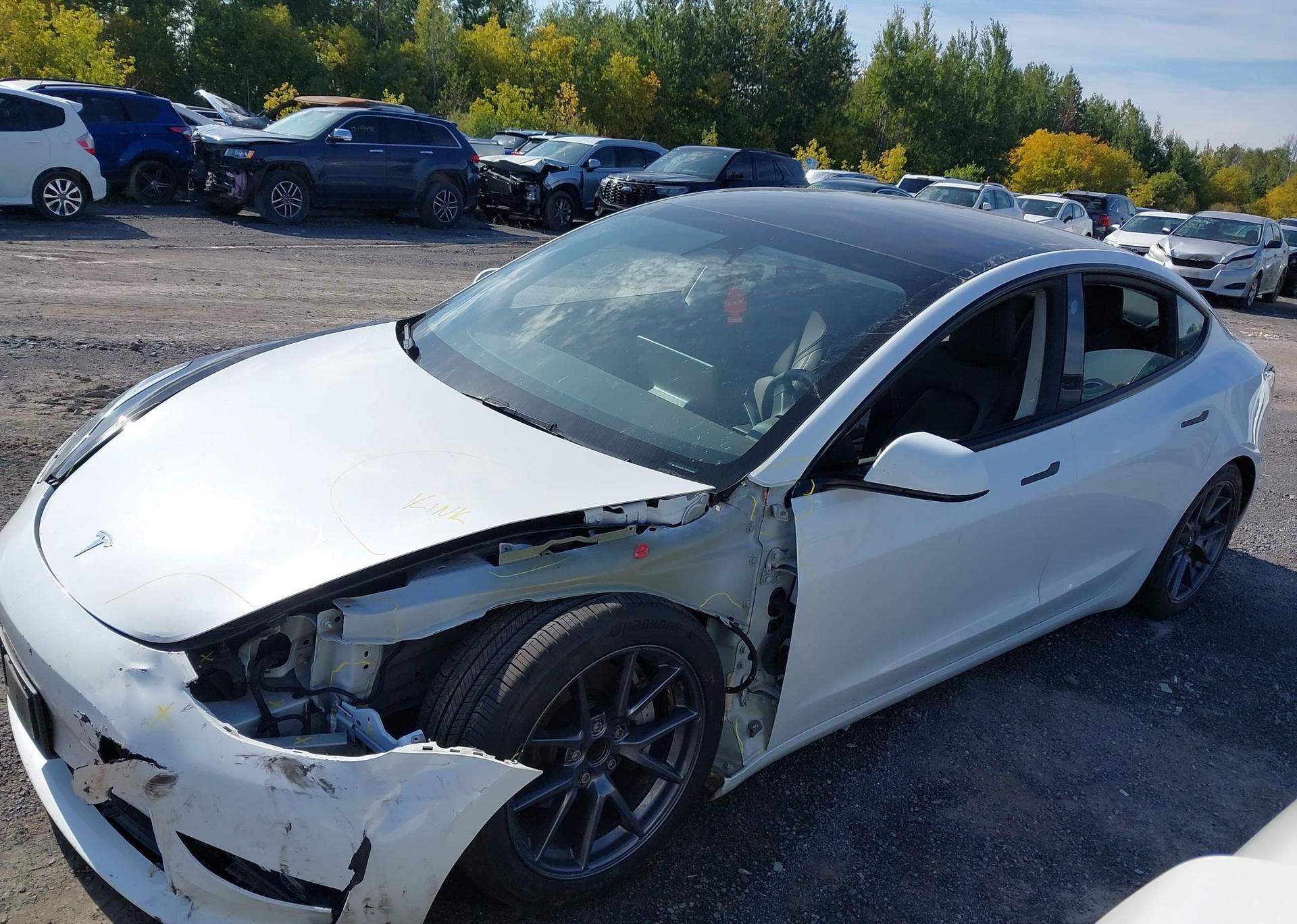 2023 TESLA MODEL 3 RWD