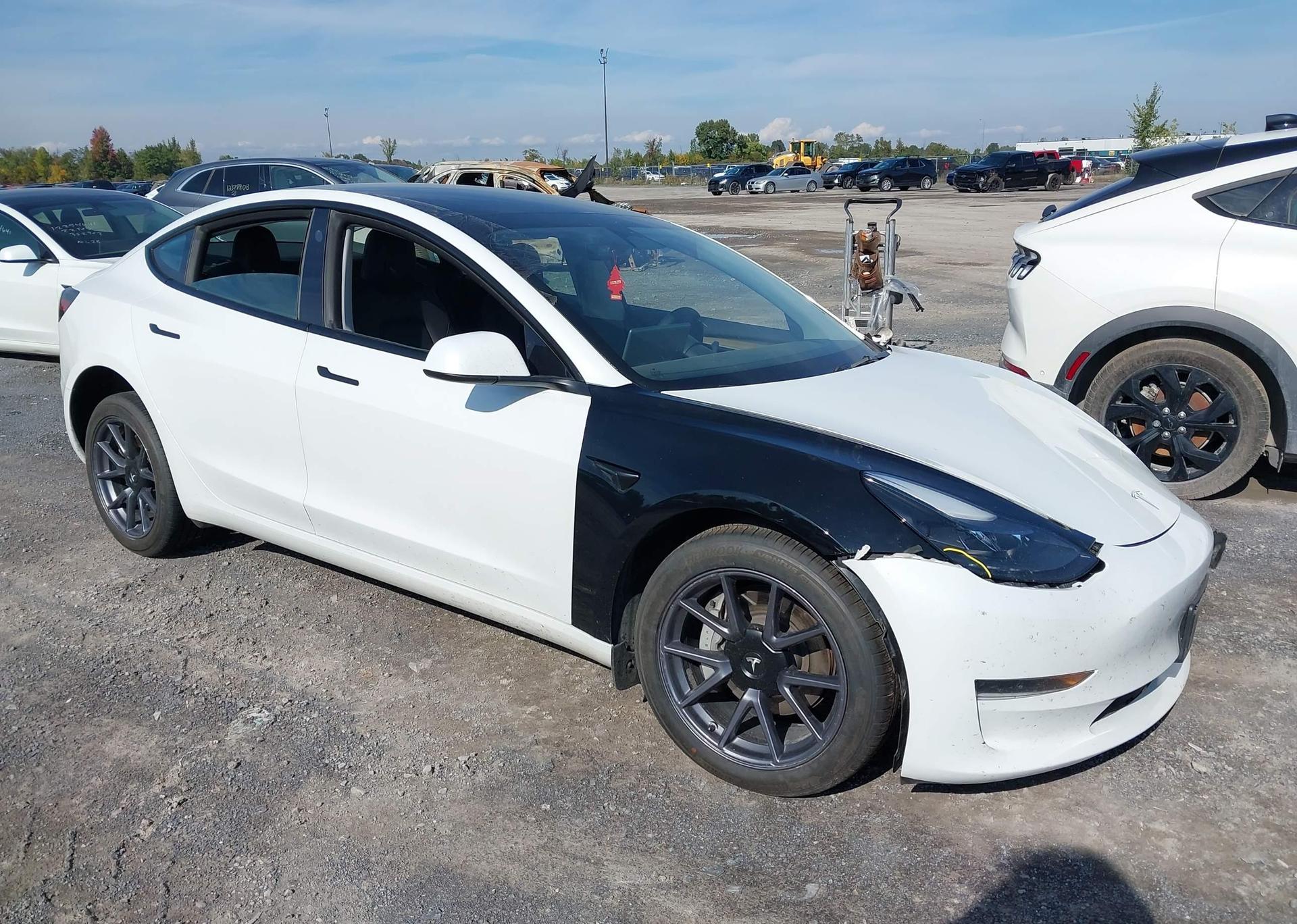 2023 TESLA MODEL 3 RWD