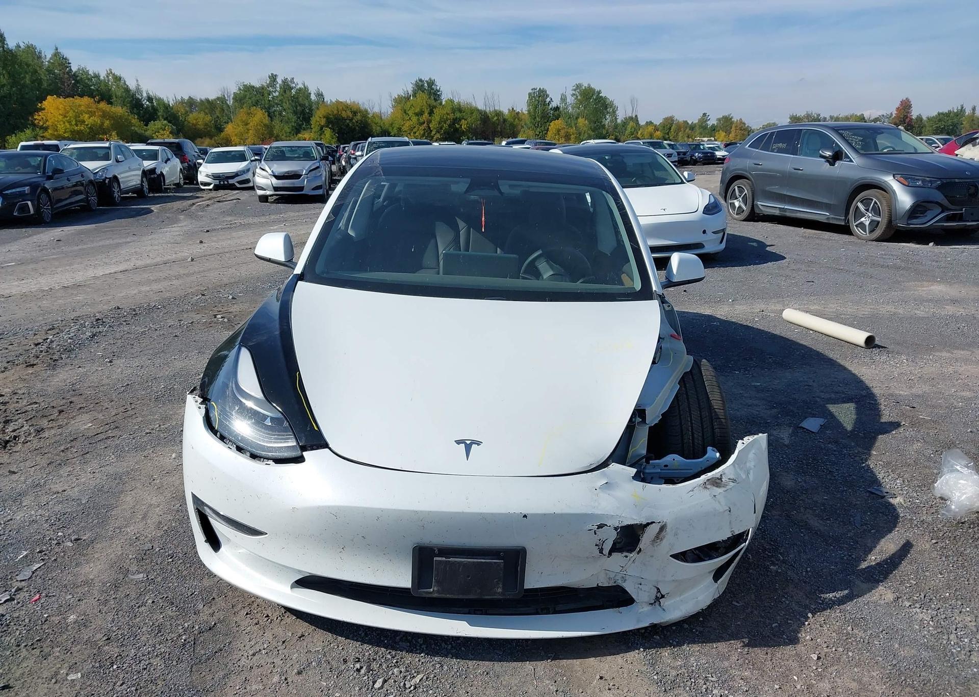 2023 TESLA MODEL 3 RWD