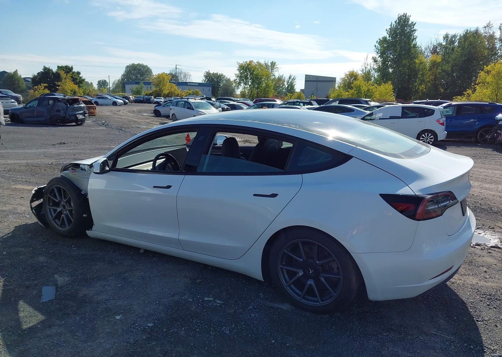 2023 TESLA MODEL 3 RWD