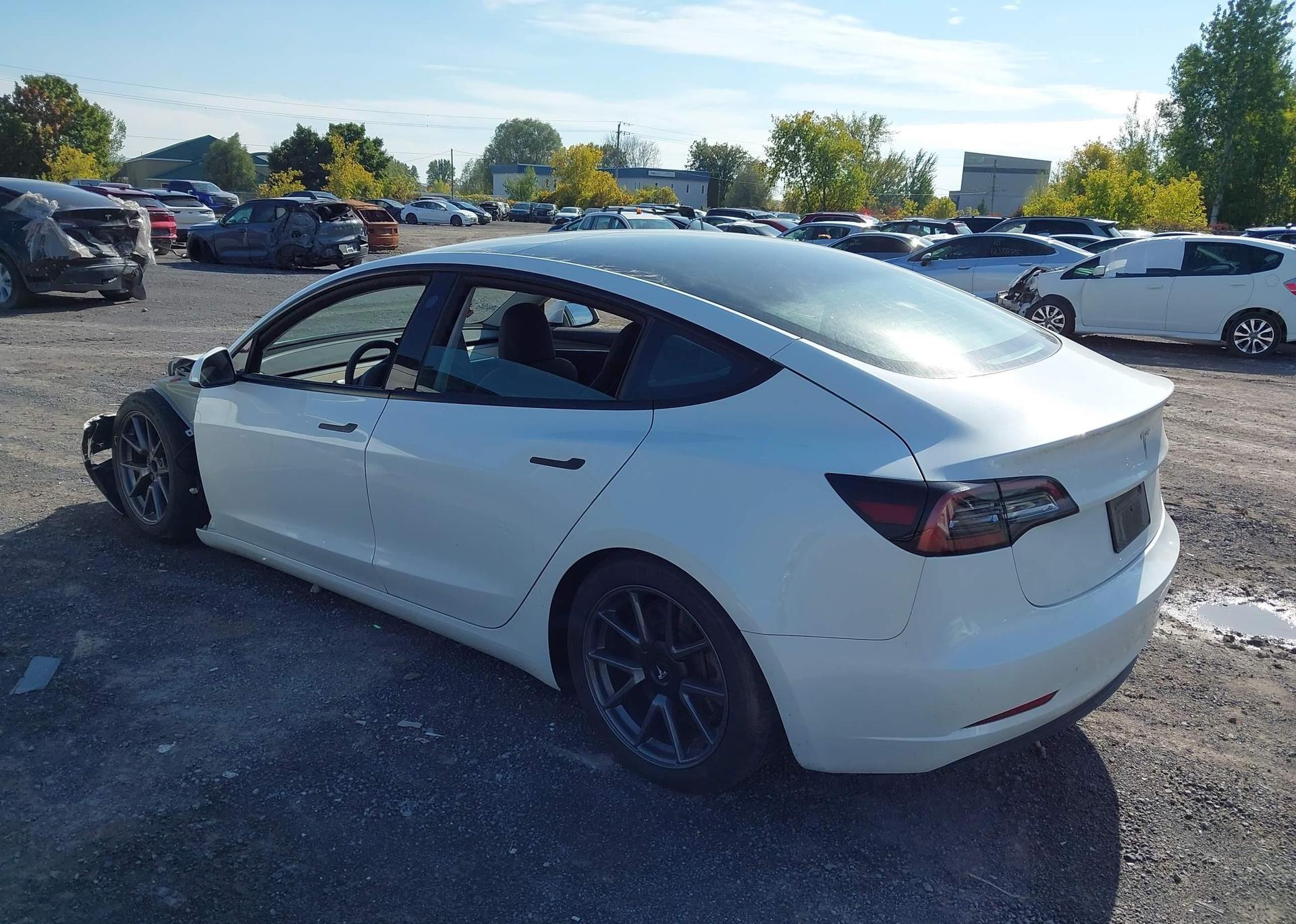 2023 TESLA MODEL 3 RWD
