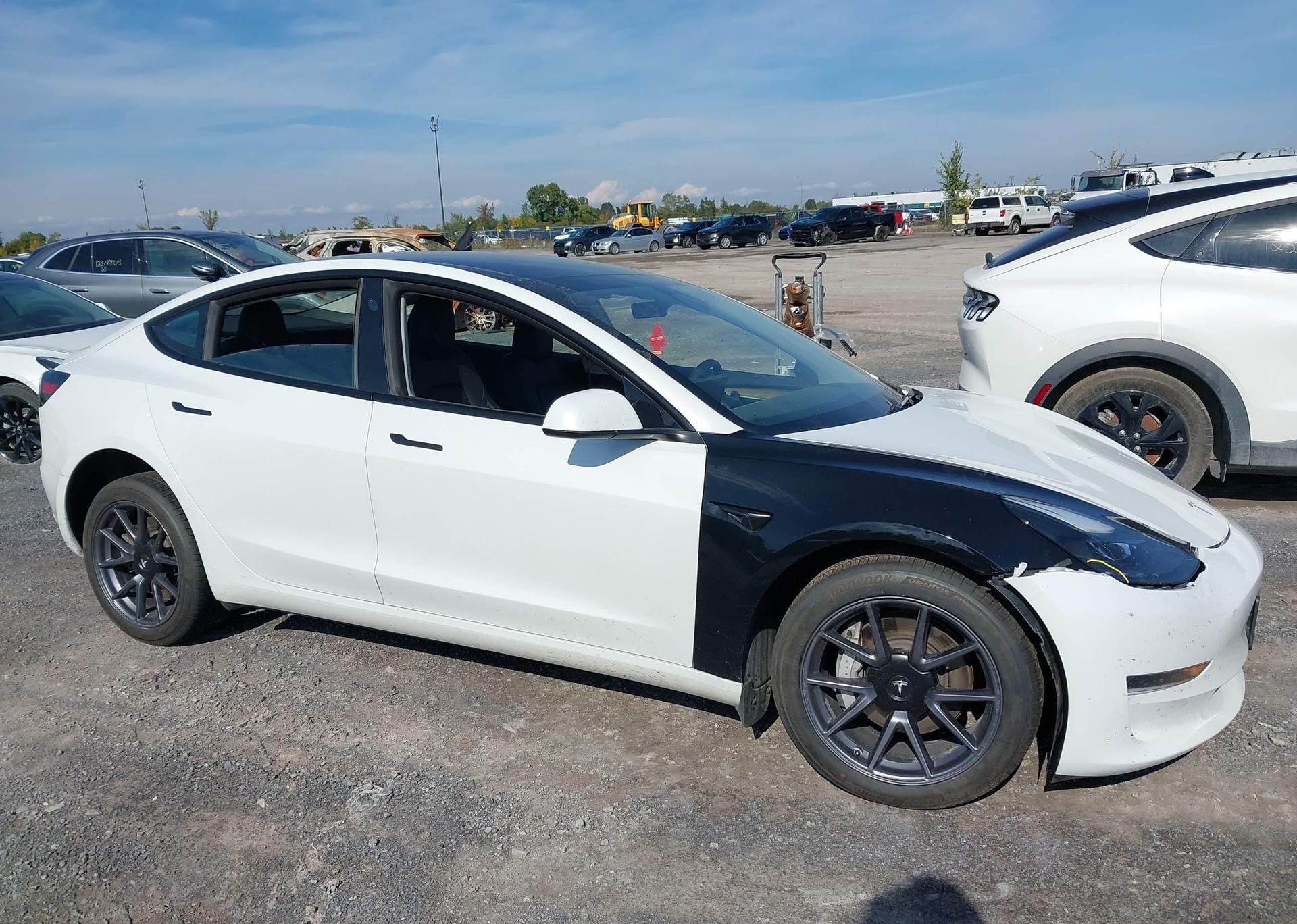 2023 TESLA MODEL 3 RWD