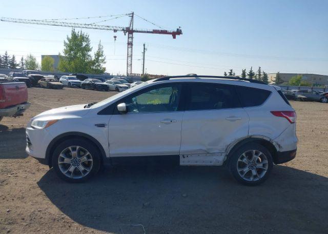 2013 FORD ESCAPE SEL