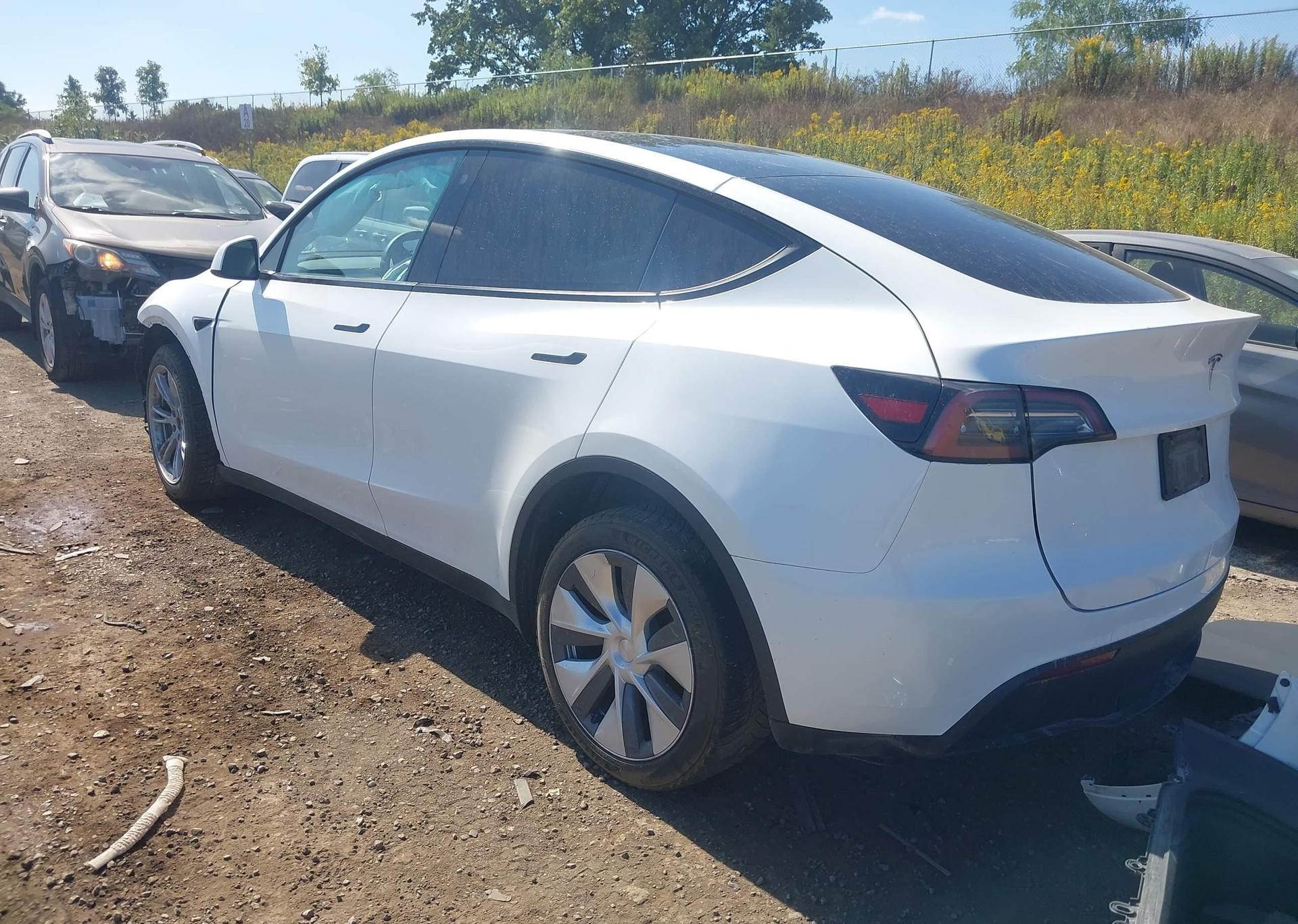 2023 TESLA MODEL Y
