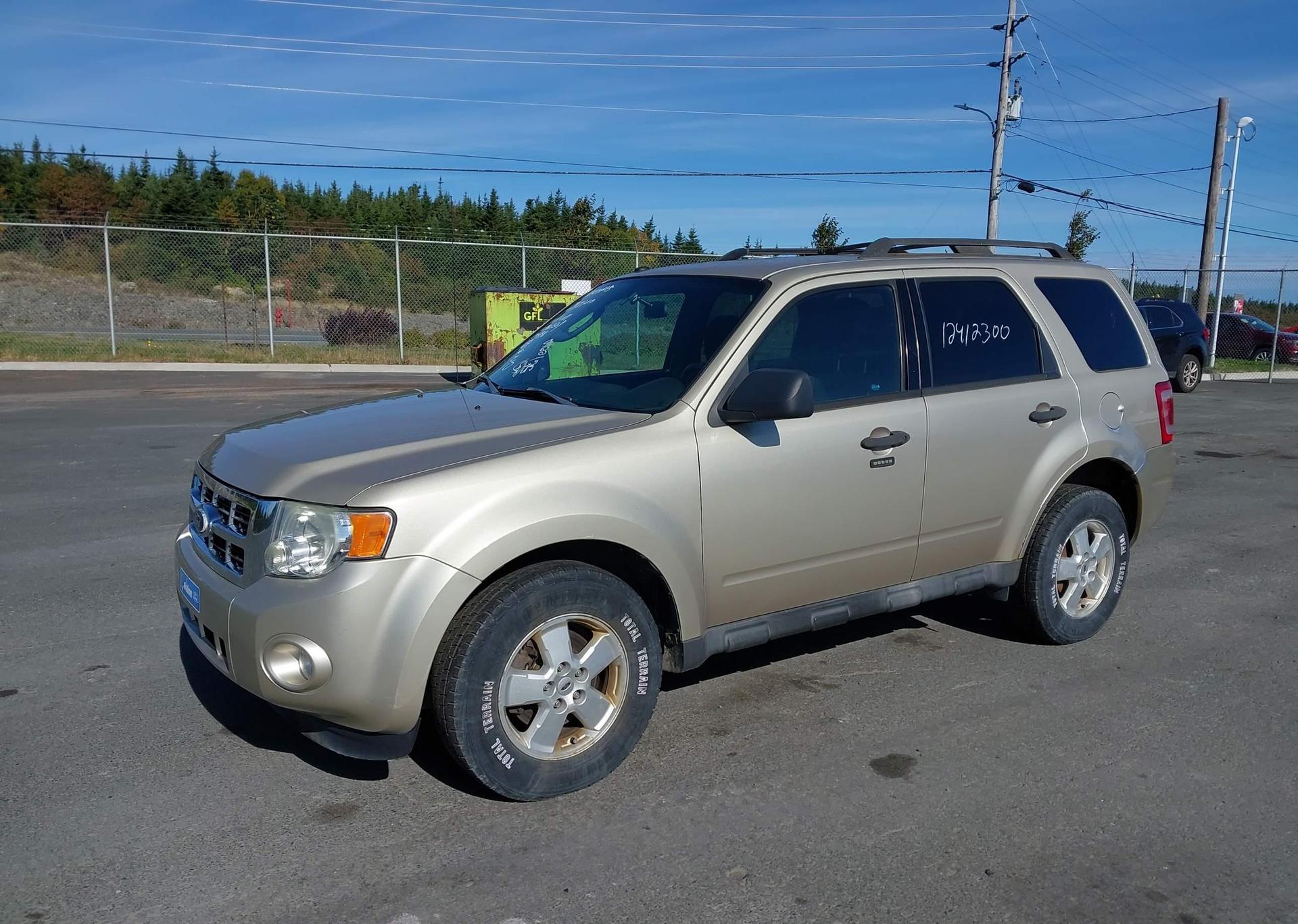 2010 FORD ESCAPE XLT