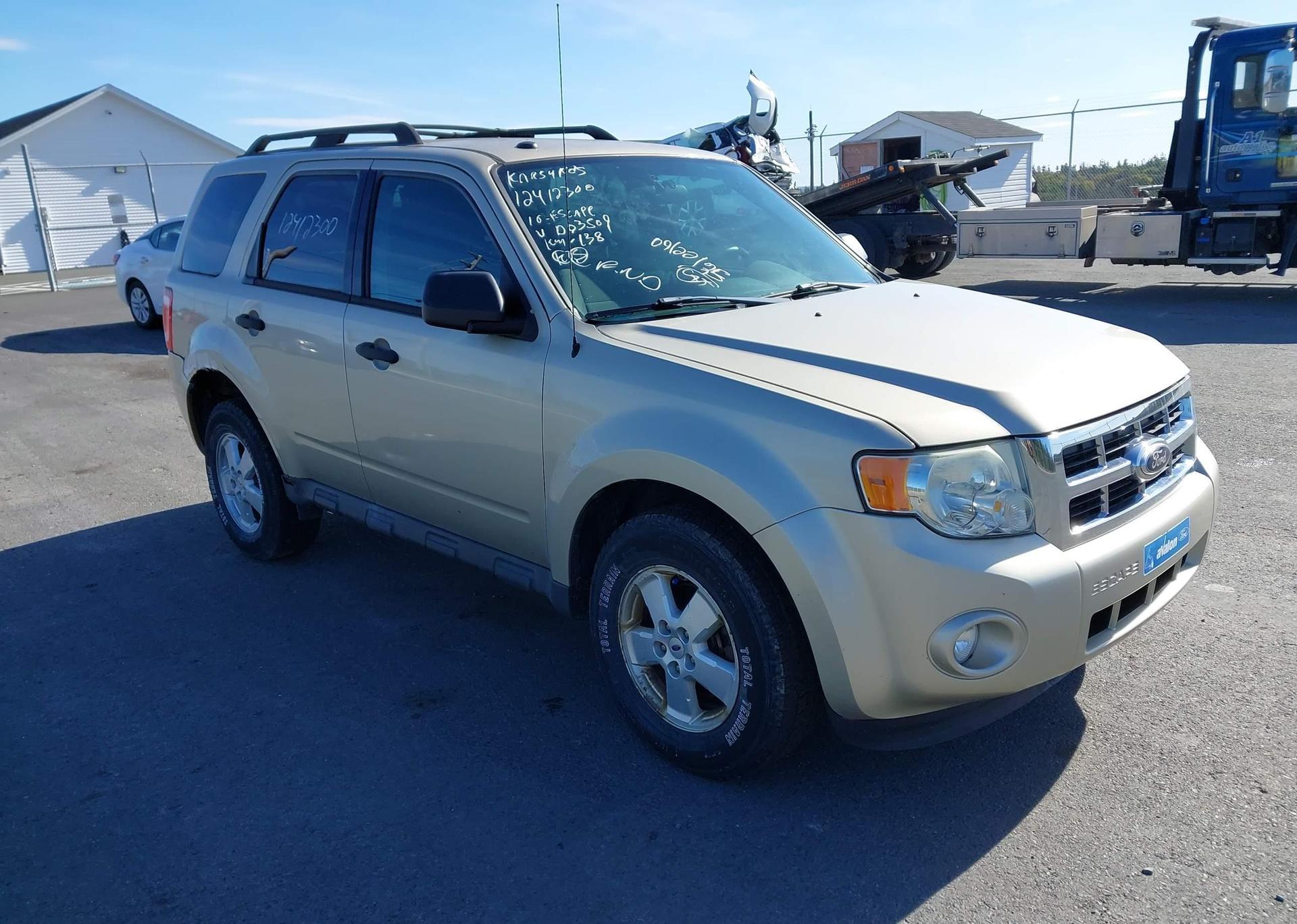 2010 FORD ESCAPE XLT