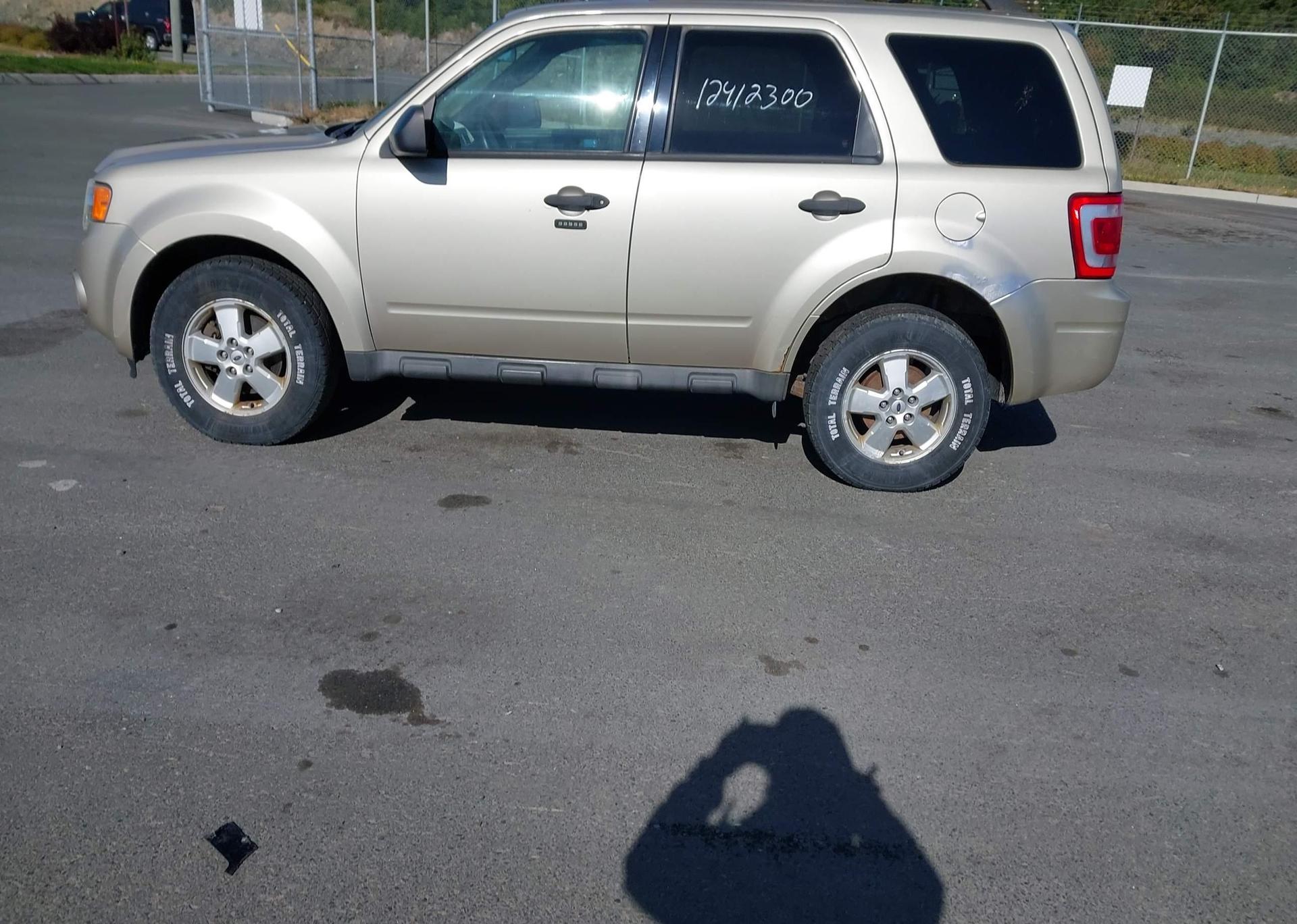 2010 FORD ESCAPE XLT