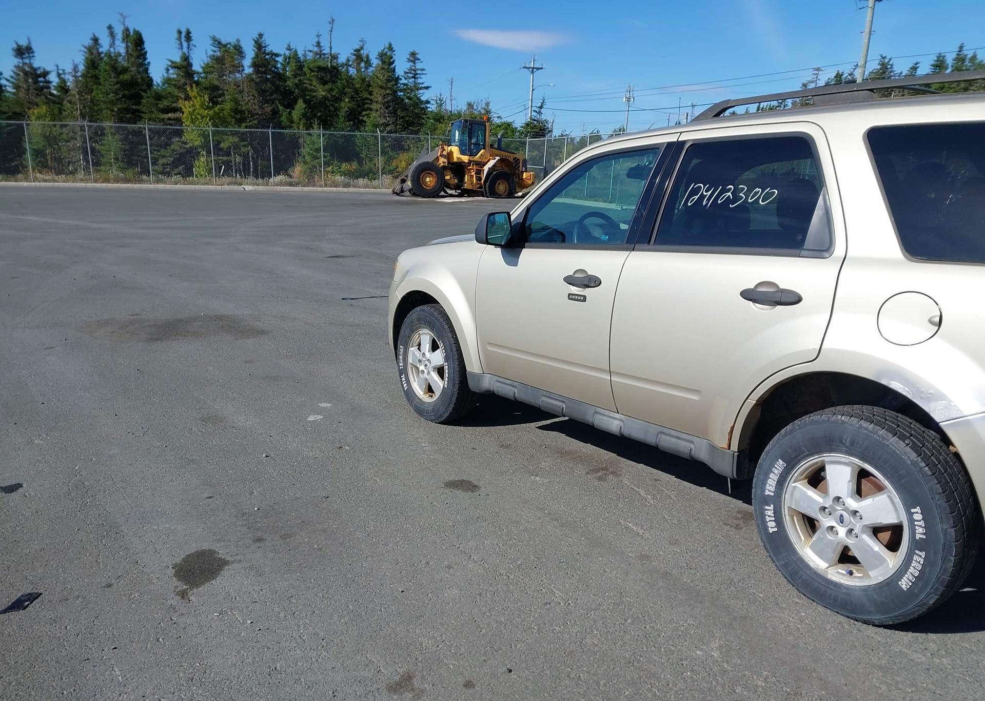2010 FORD ESCAPE XLT