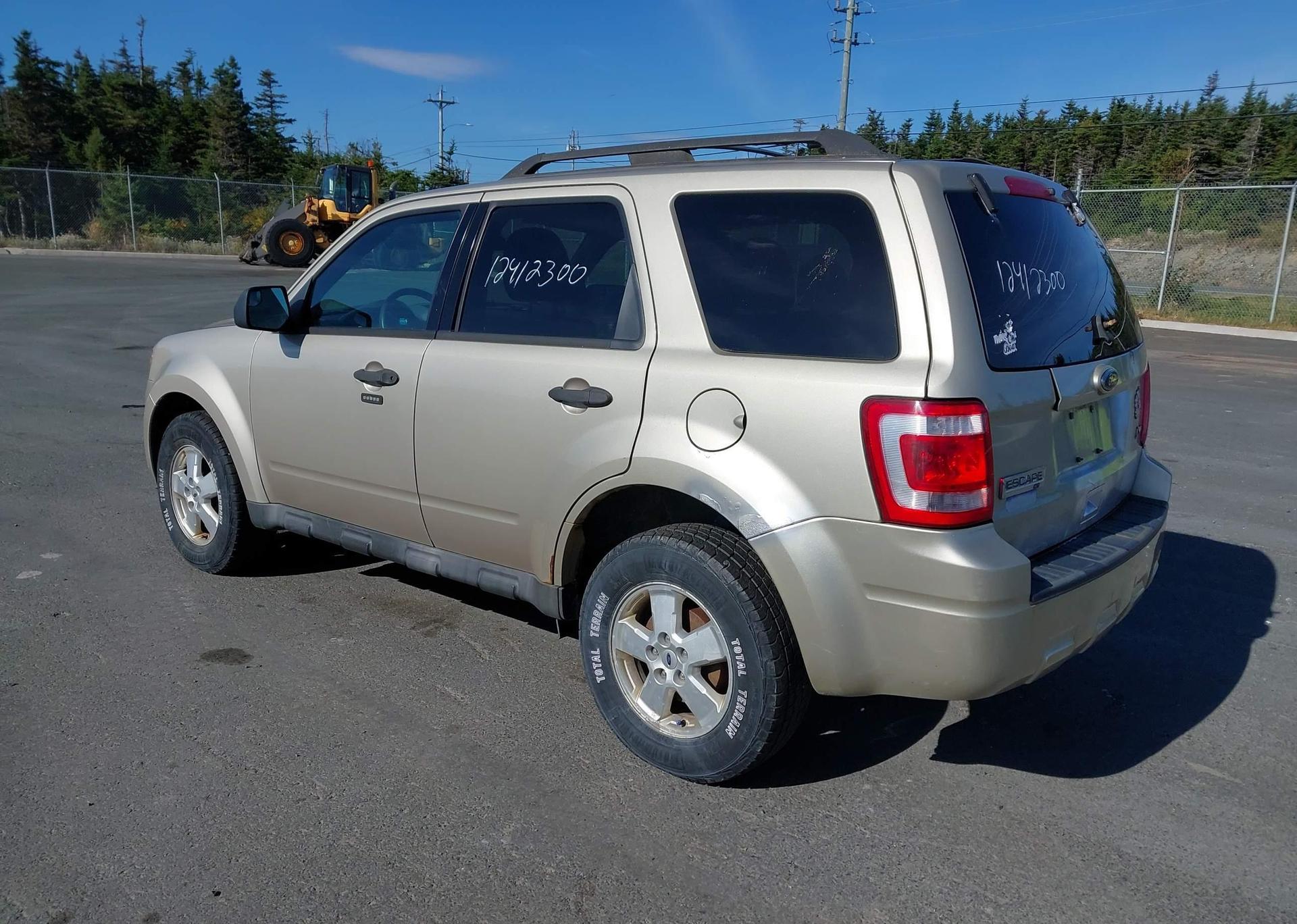2010 FORD ESCAPE XLT