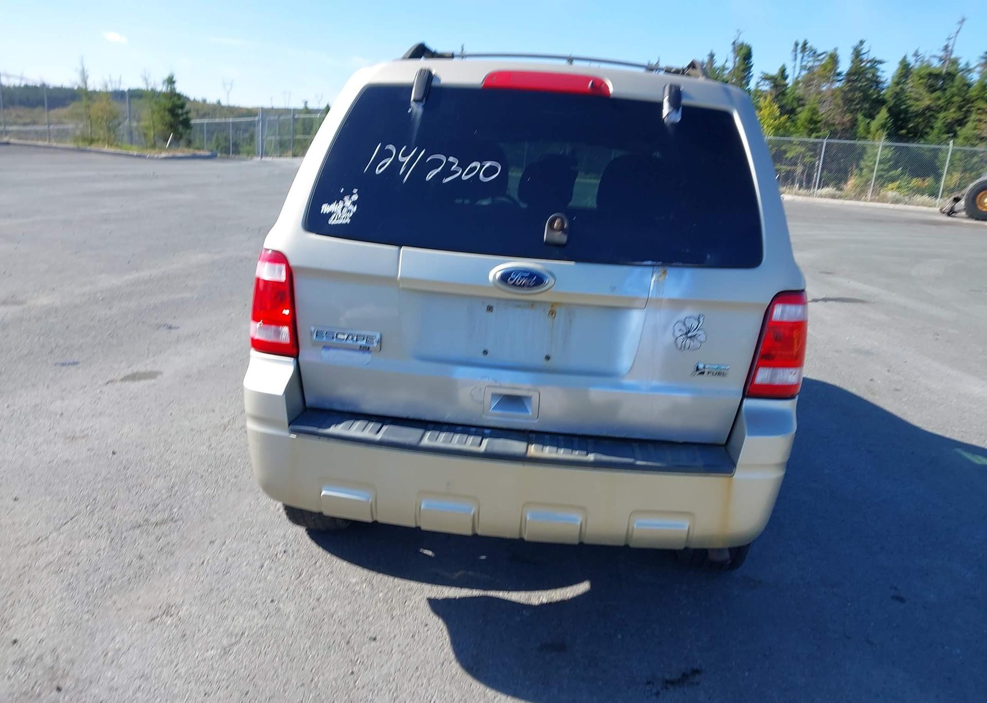 2010 FORD ESCAPE XLT