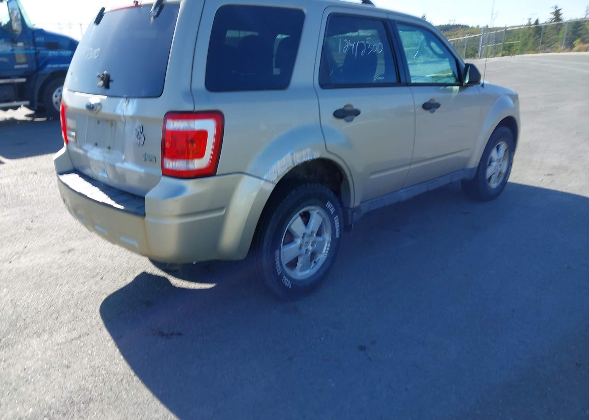2010 FORD ESCAPE XLT