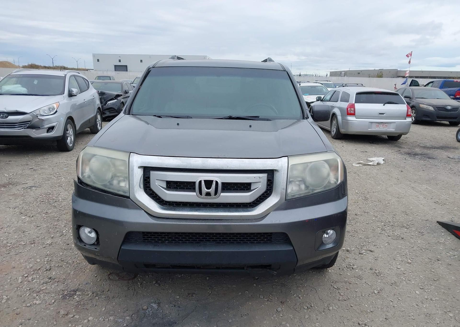 2010 HONDA PILOT EXL