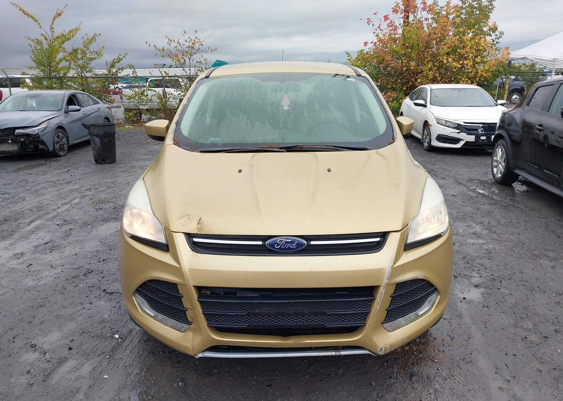 2014 FORD ESCAPE SE