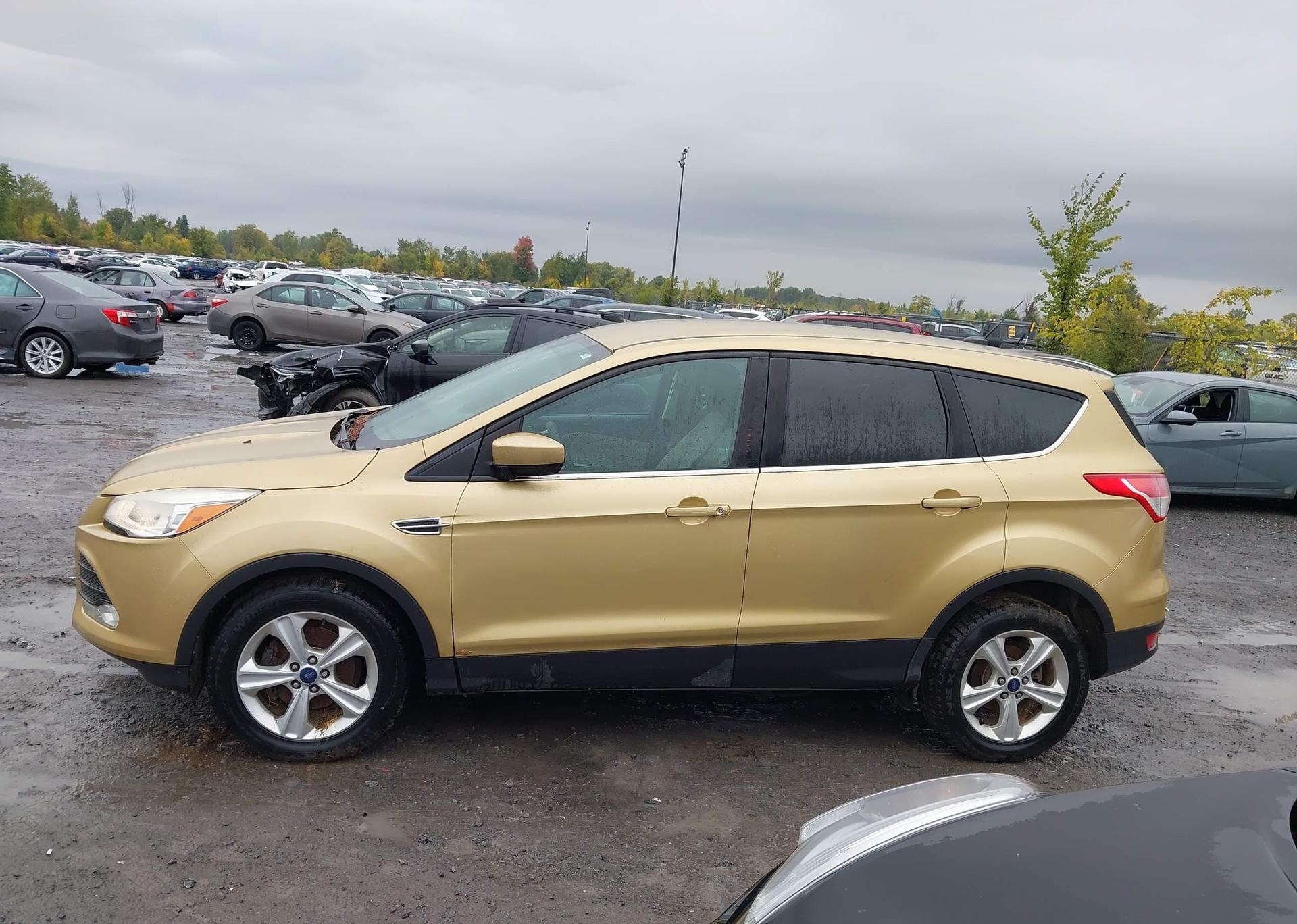 2014 FORD ESCAPE SE