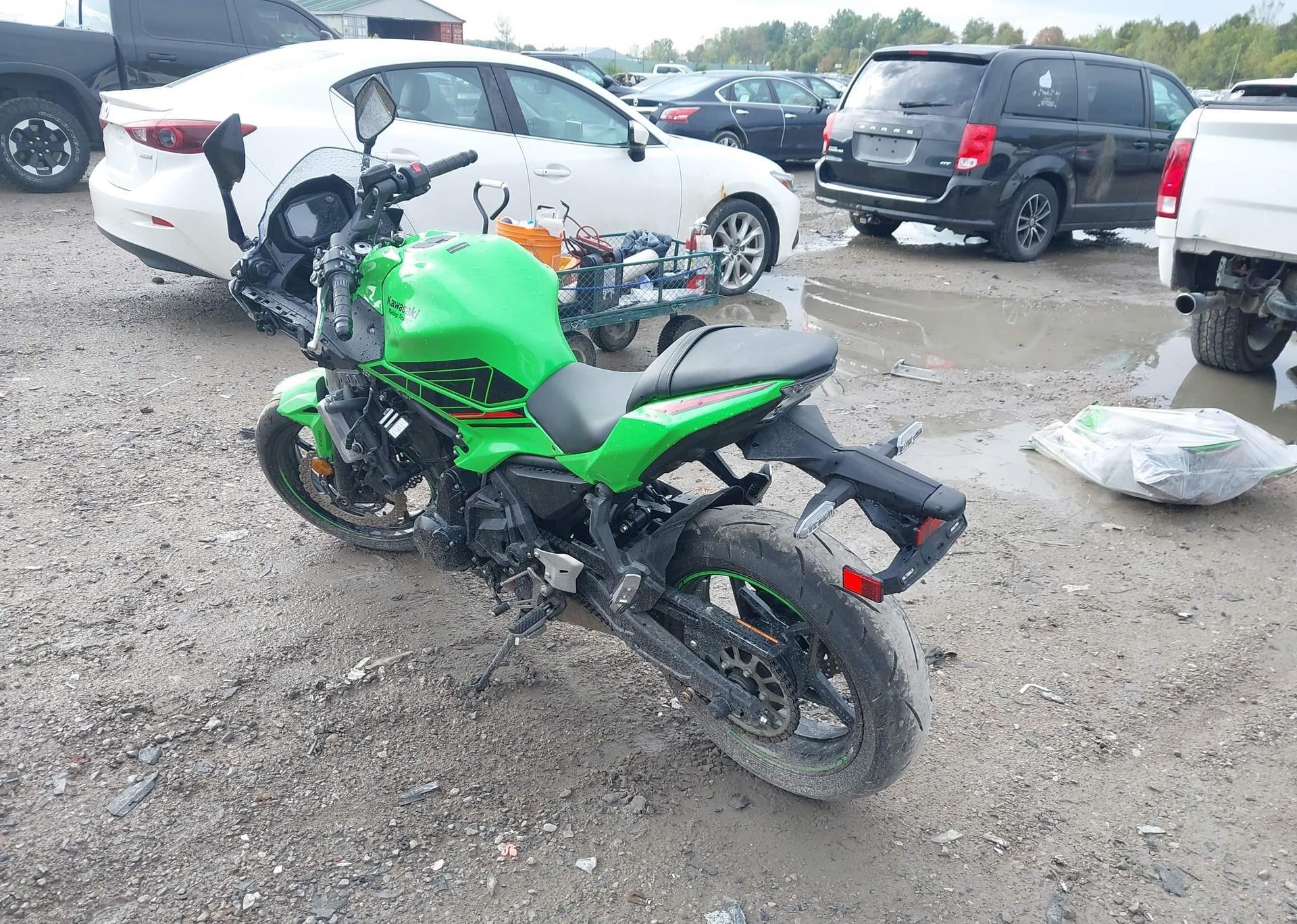 2024 KAWASAKI EX650 P