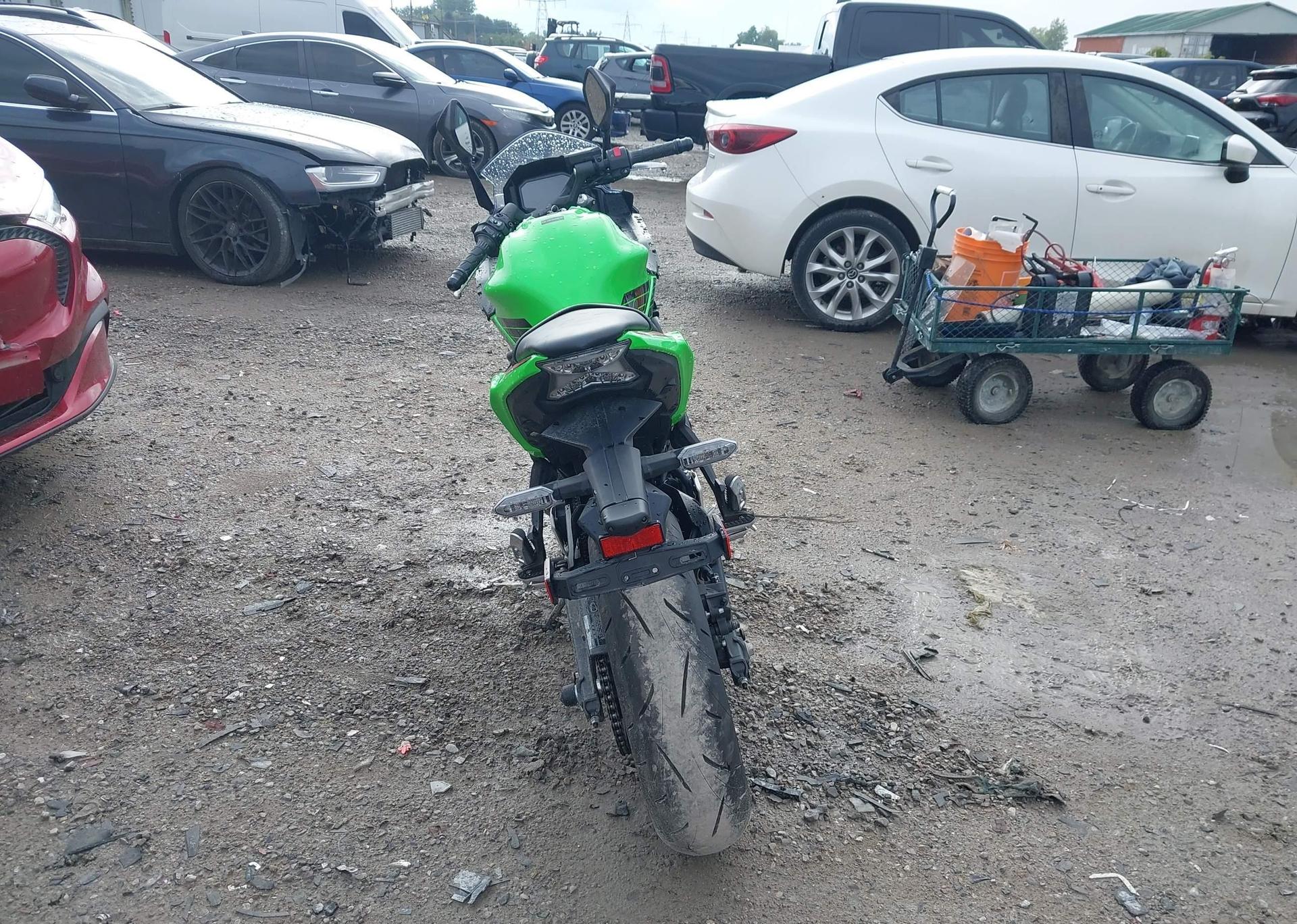 2024 KAWASAKI EX650 P