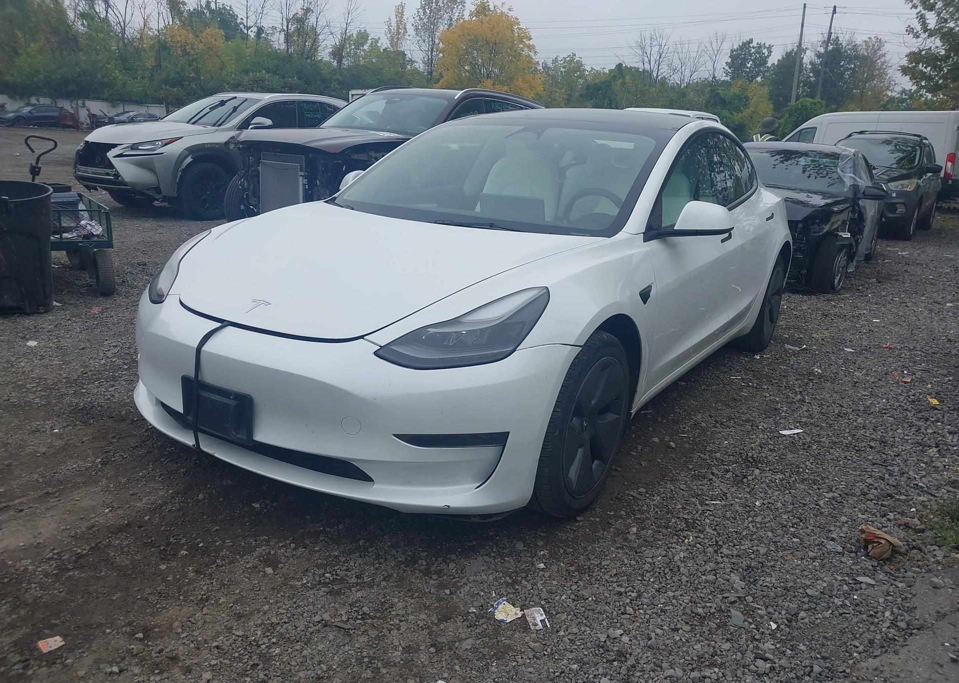 2023 TESLA MODEL 3 RWD