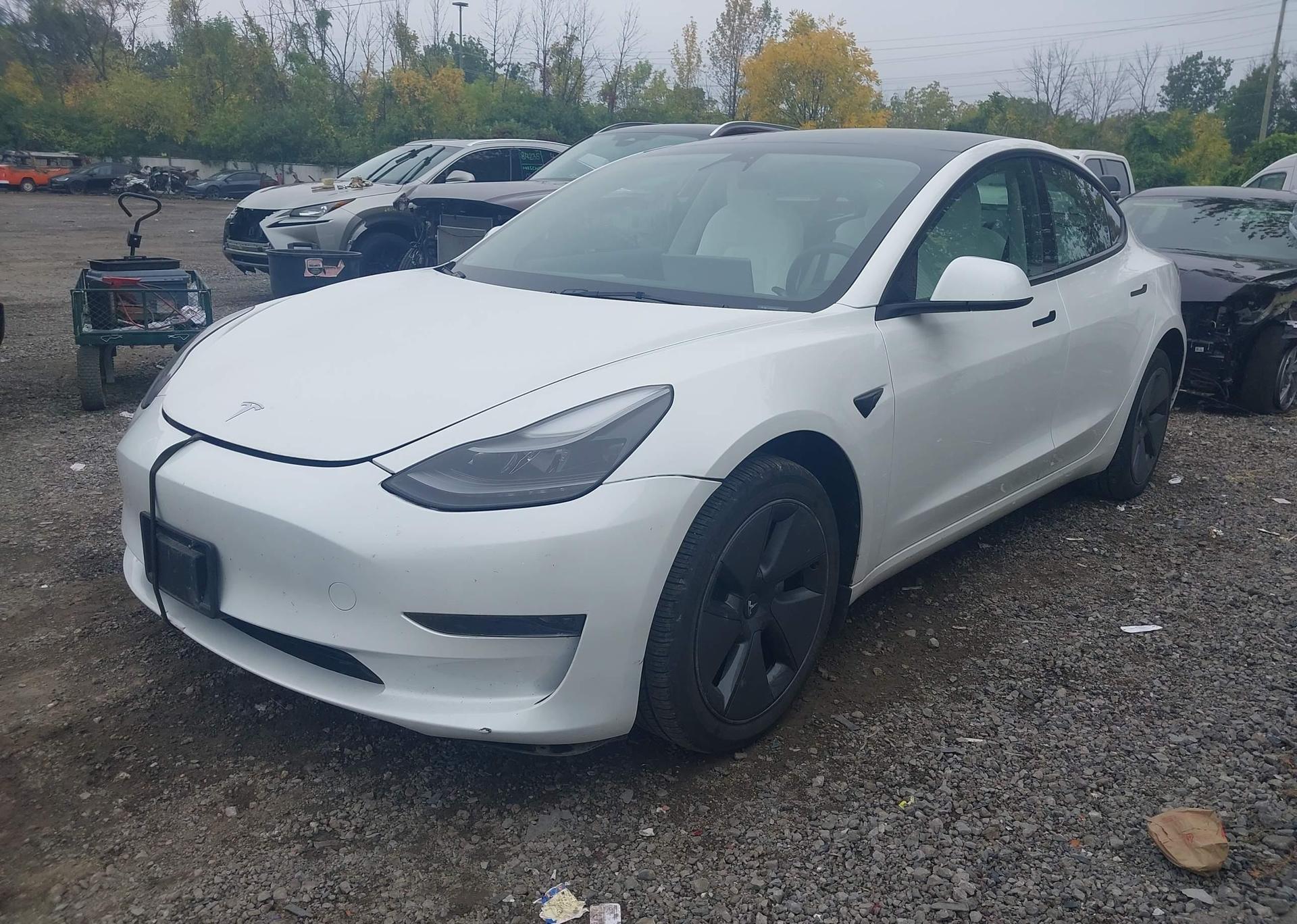 2023 TESLA MODEL 3 RWD