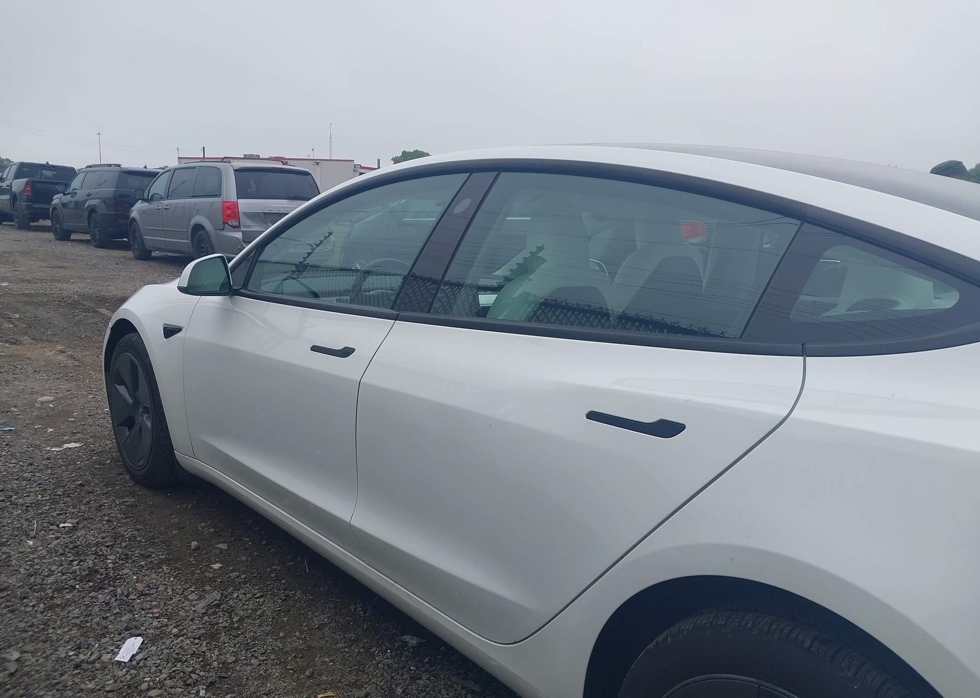 2023 TESLA MODEL 3 RWD