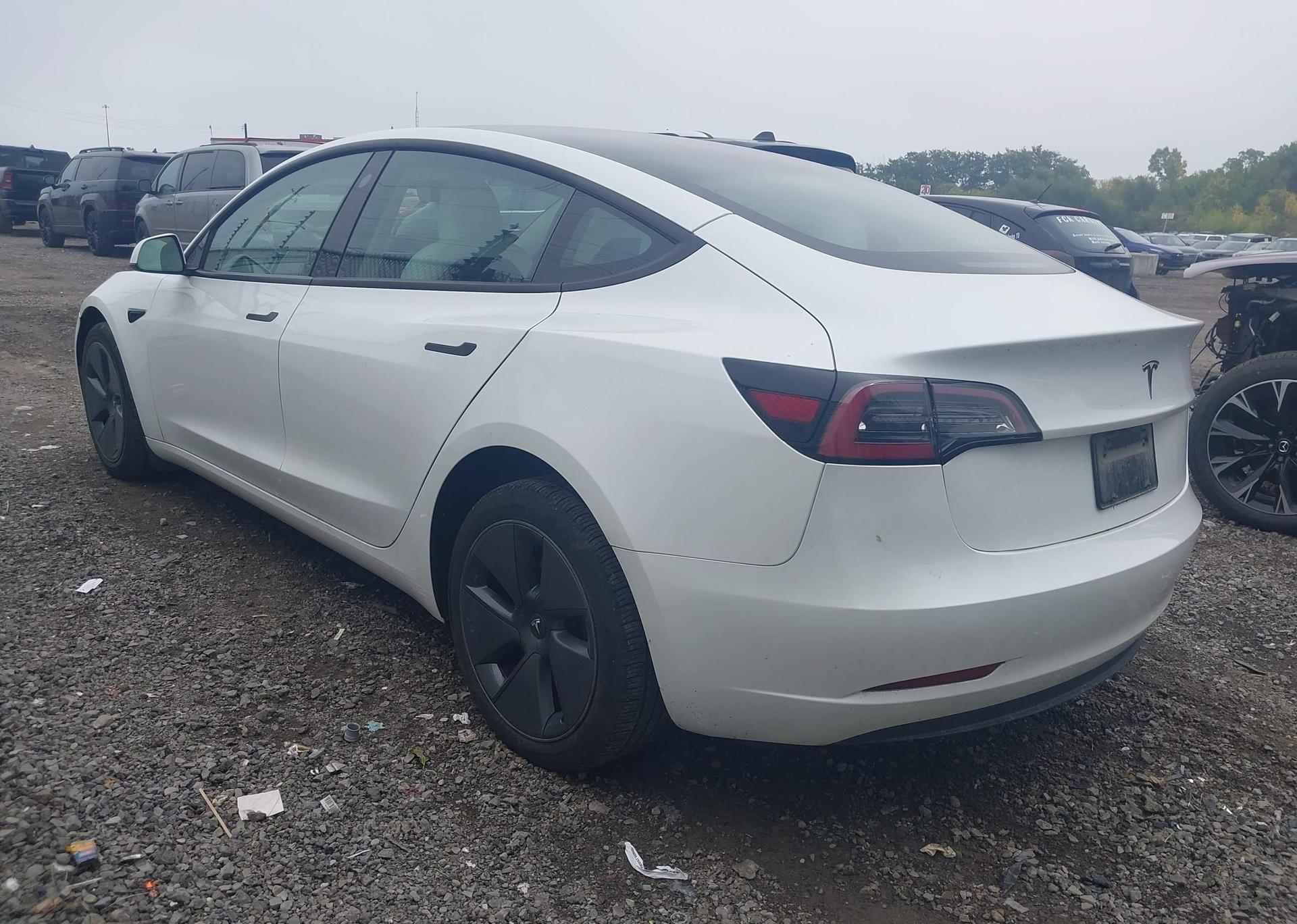 2023 TESLA MODEL 3 RWD