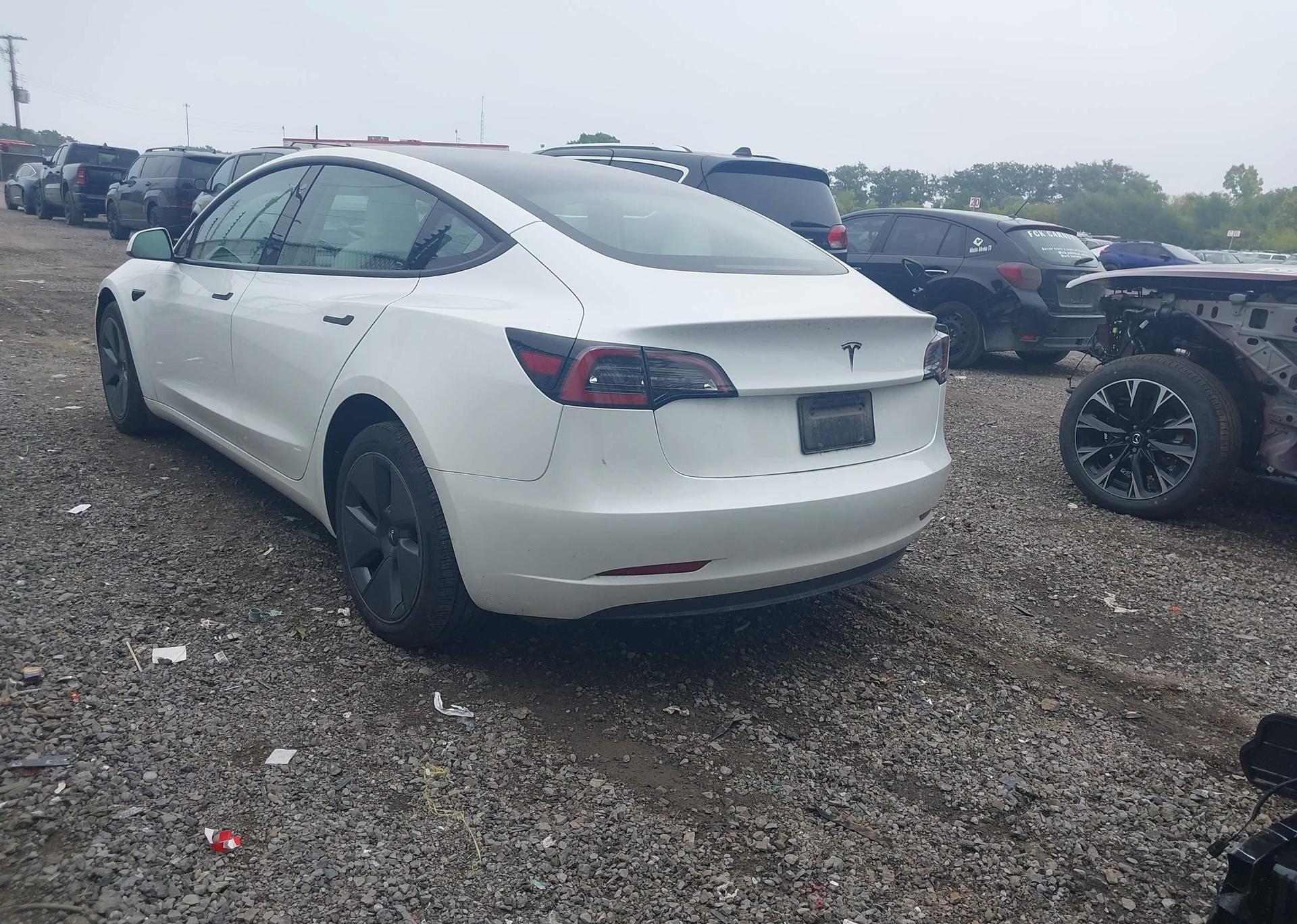 2023 TESLA MODEL 3 RWD