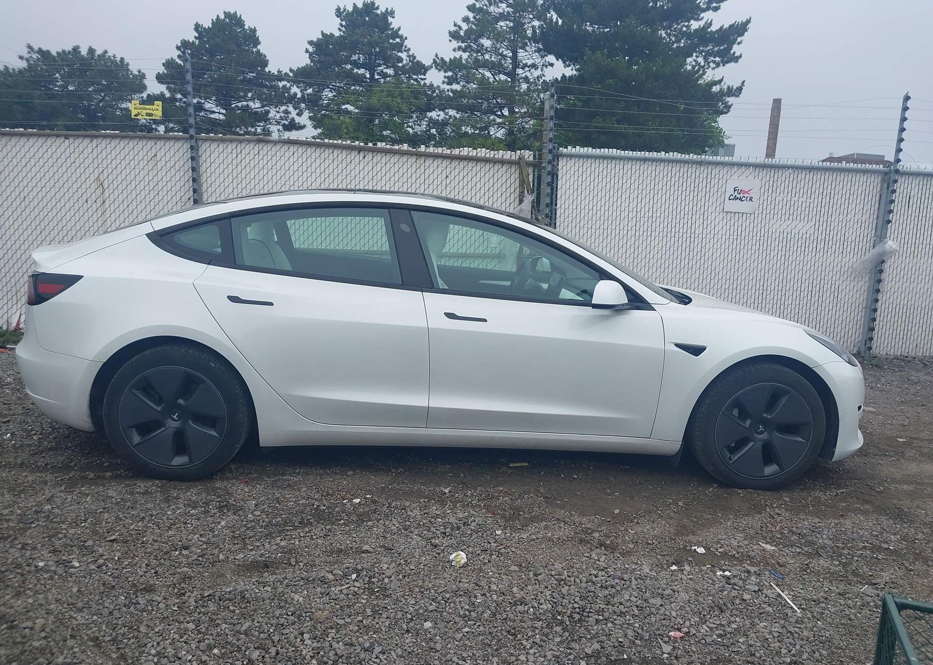 2023 TESLA MODEL 3 RWD
