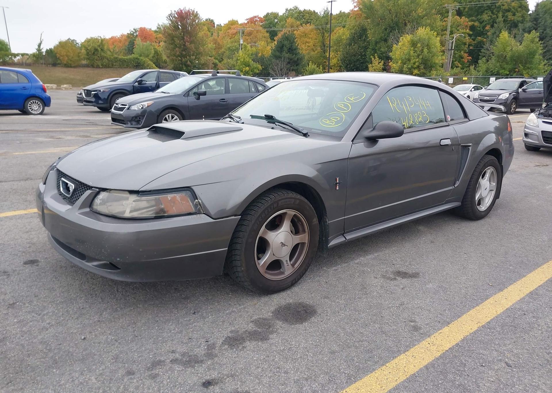 2003 FORD MUSTANG