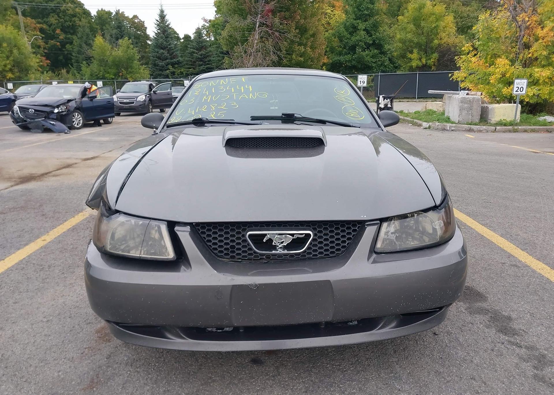 2003 FORD MUSTANG