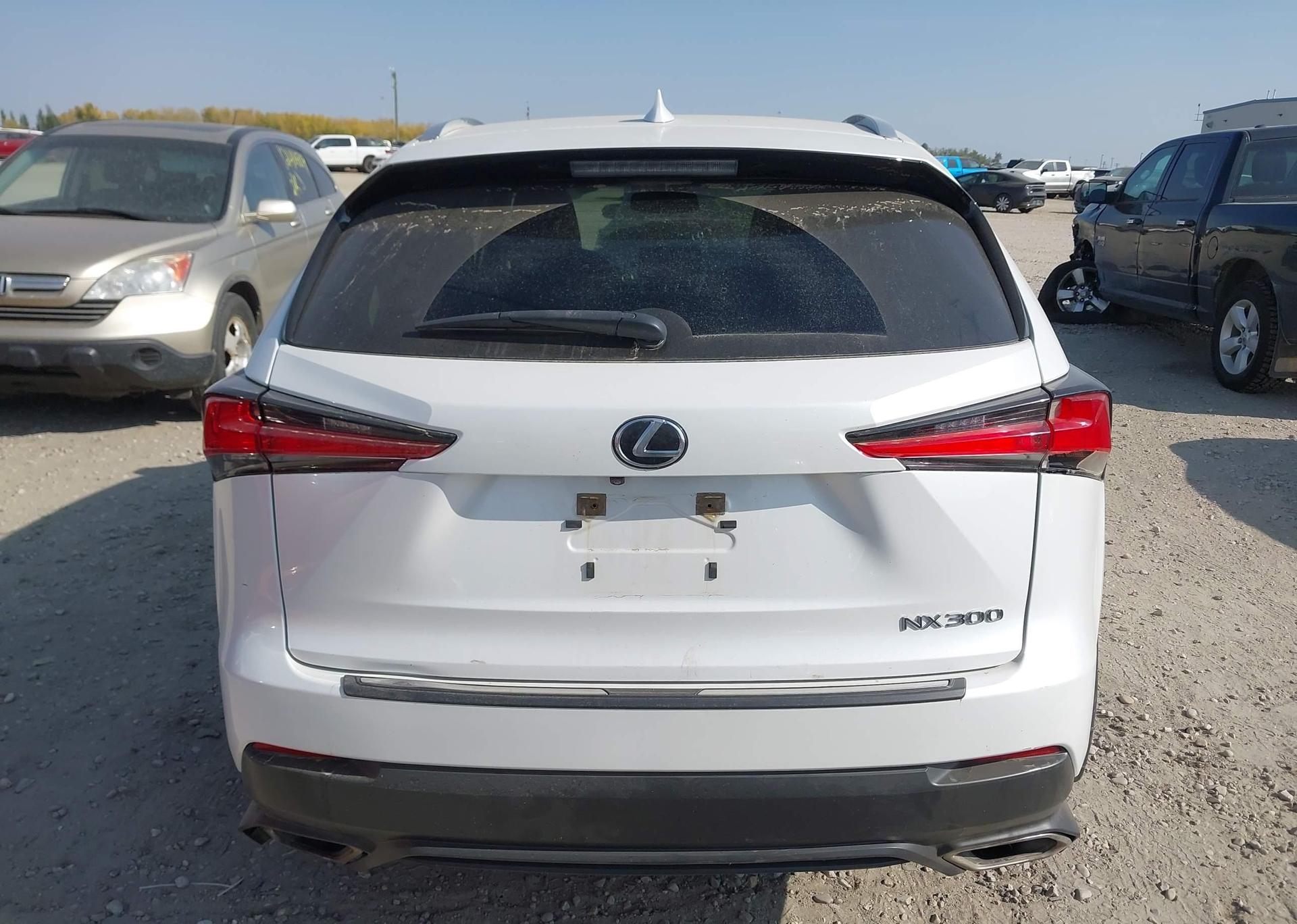 2020 LEXUS NX 300