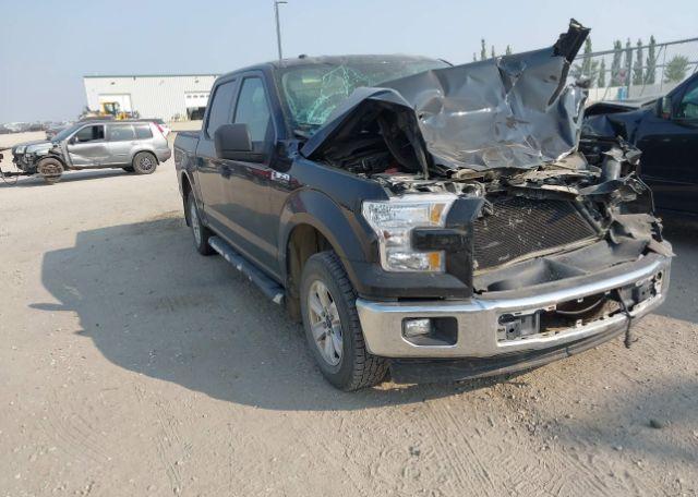 2017 FORD F-150 XLT