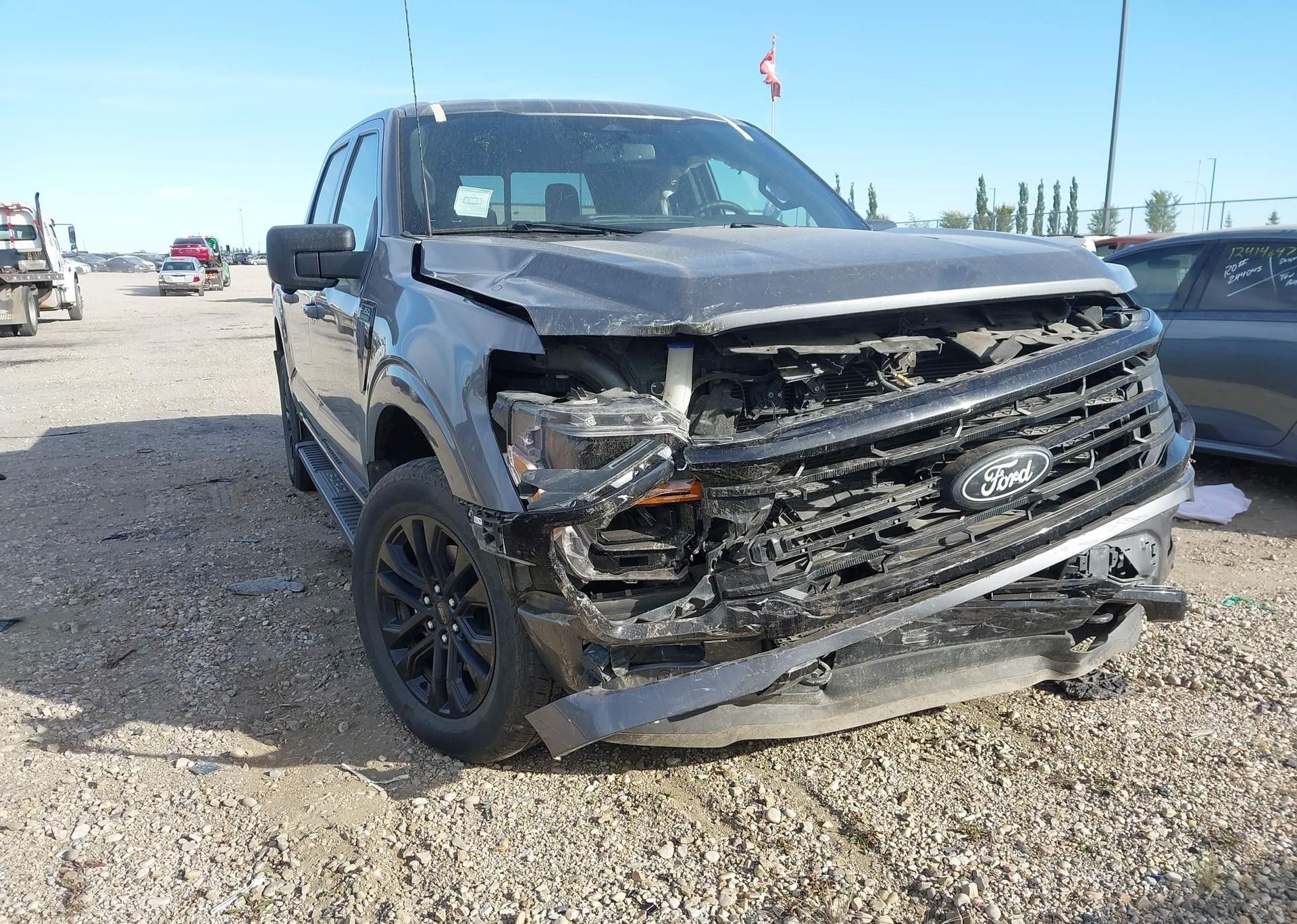 2024 FORD F150 XLT