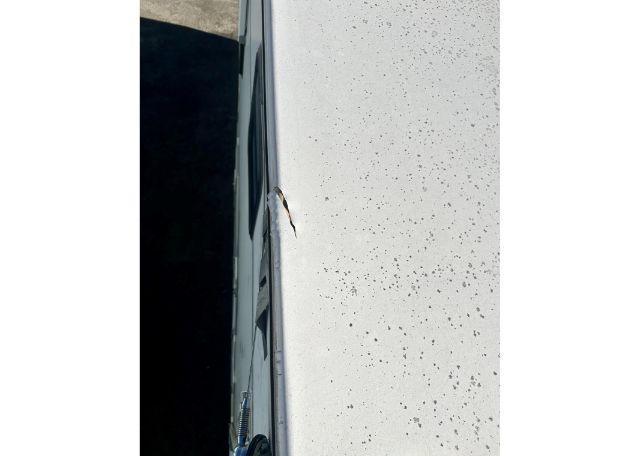 1999 WESTERN RV Alpenlite Riviera