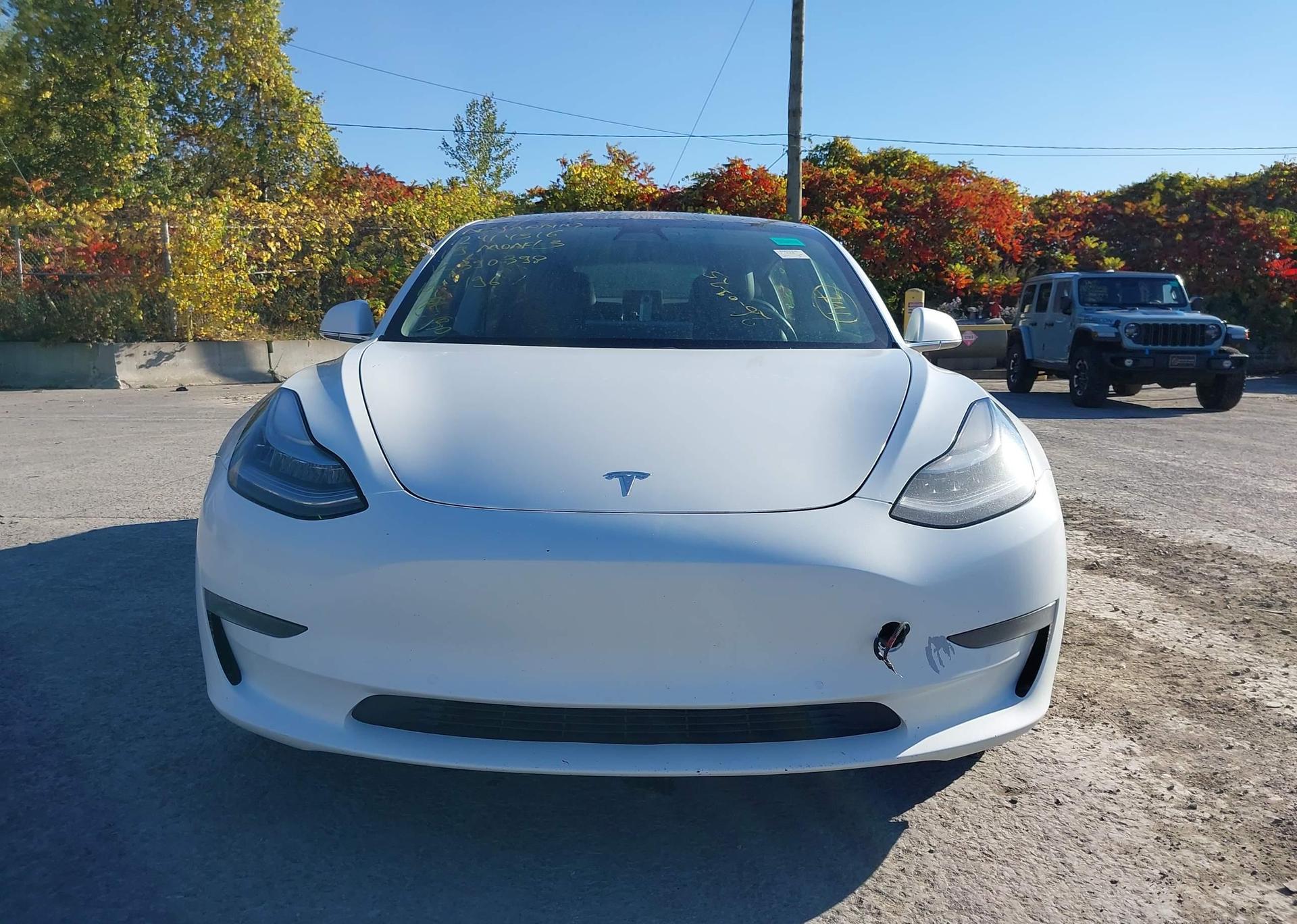 2019 TESLA MODEL 3