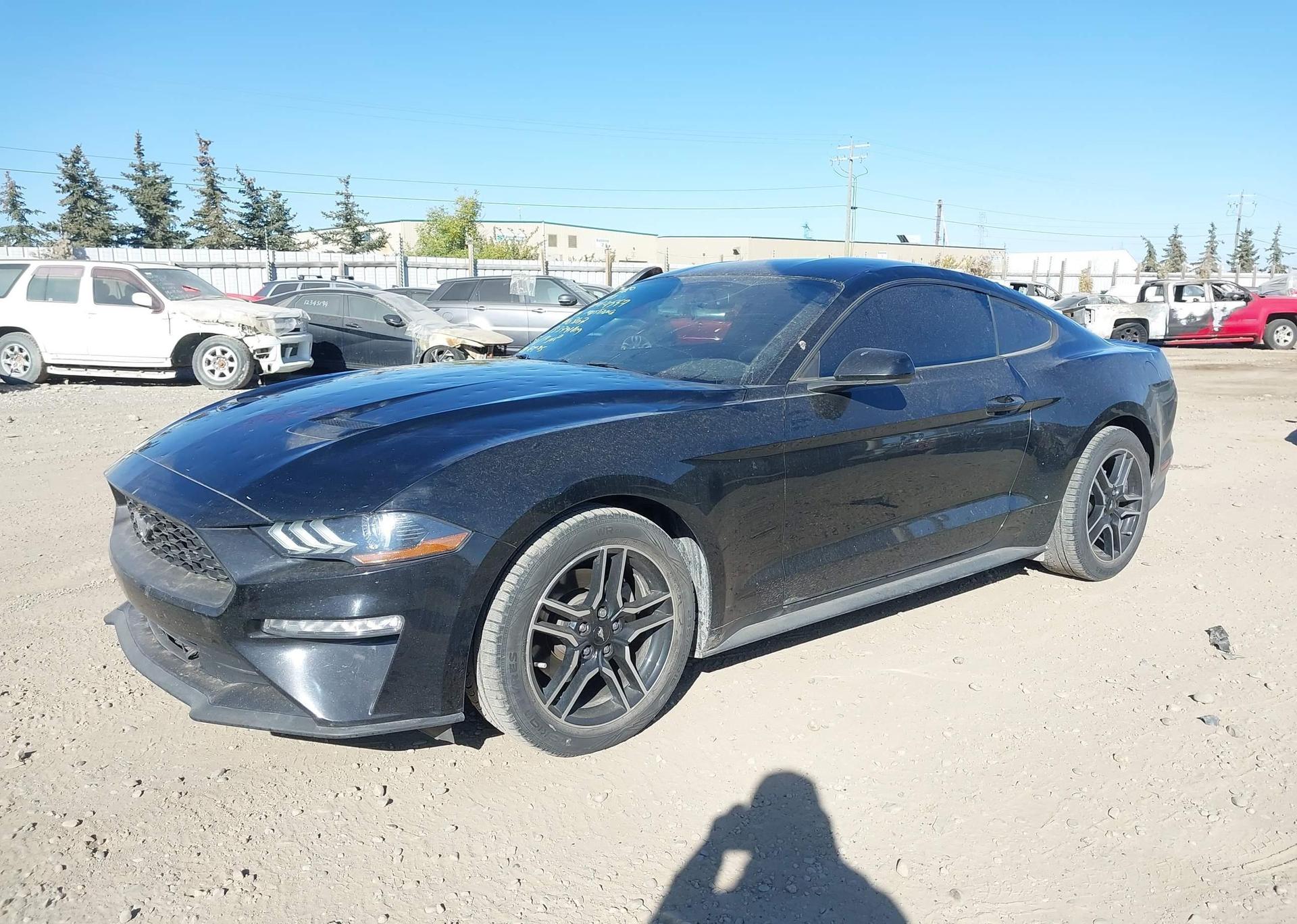 2019 FORD MUSTANG