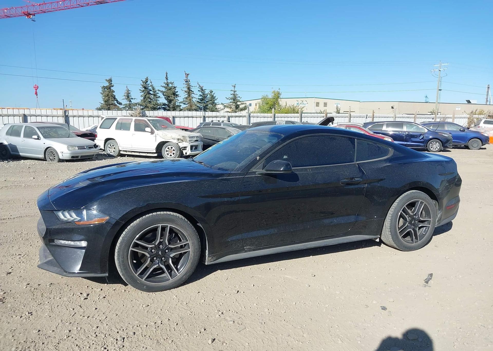 2019 FORD MUSTANG